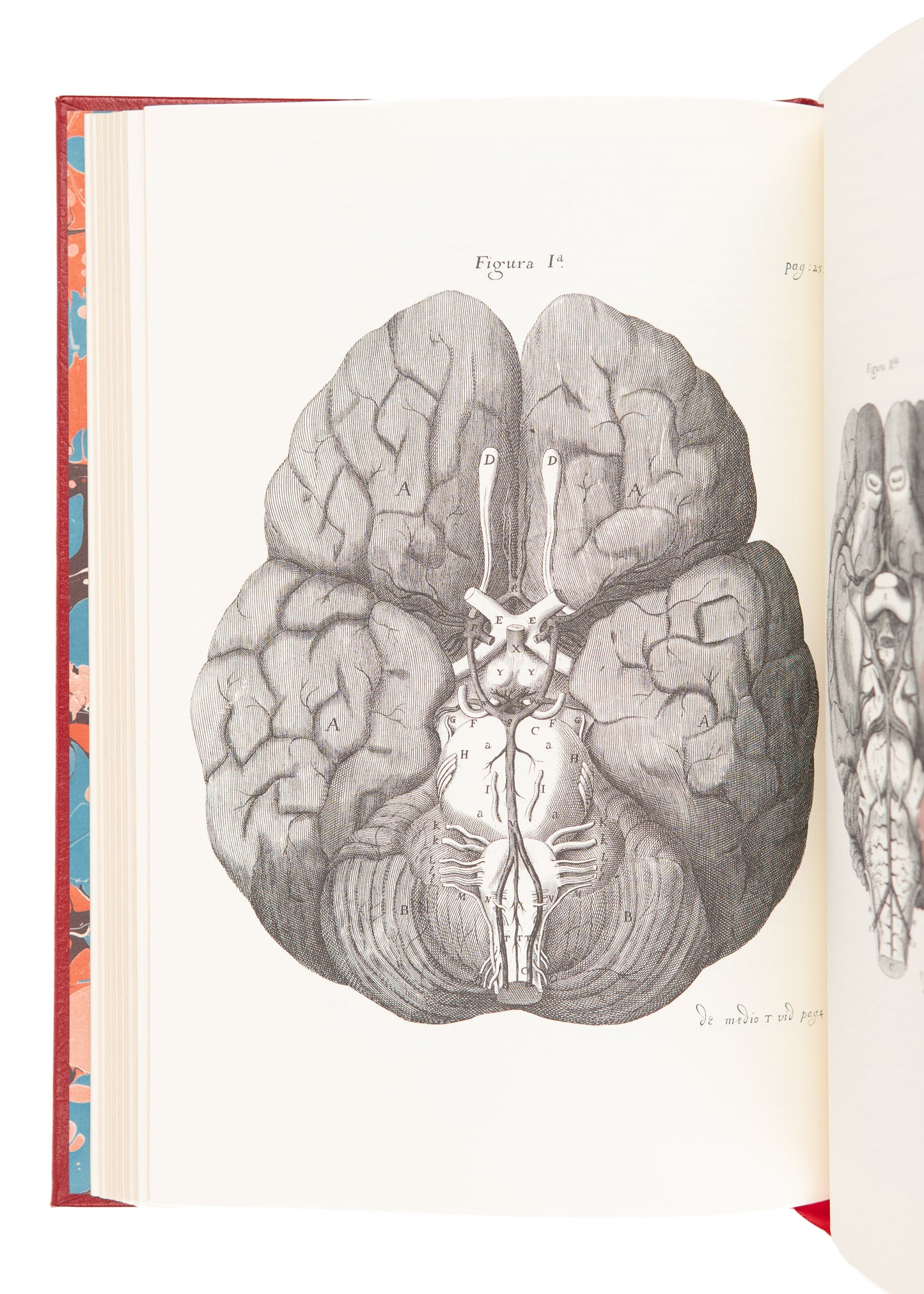 1983-1995 80 LEATHER VOLUMES. The Classics of Neurology & Neurosurgery Library.