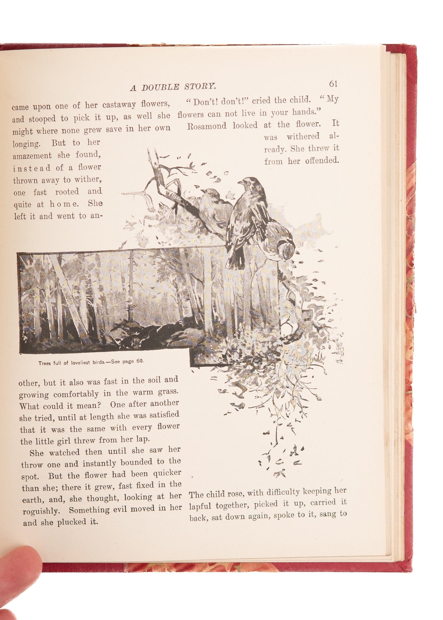 1897 GEORGE MACDONALD. A Double Story. Fine, Illustrated American Edition.