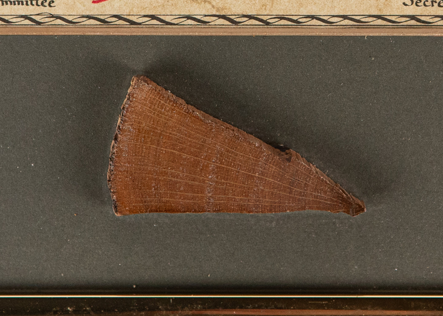 c.1660 JOHN BUNYAN. Oak from the Pulpit of John Bunyan, Author of Pilgrim's Progress
