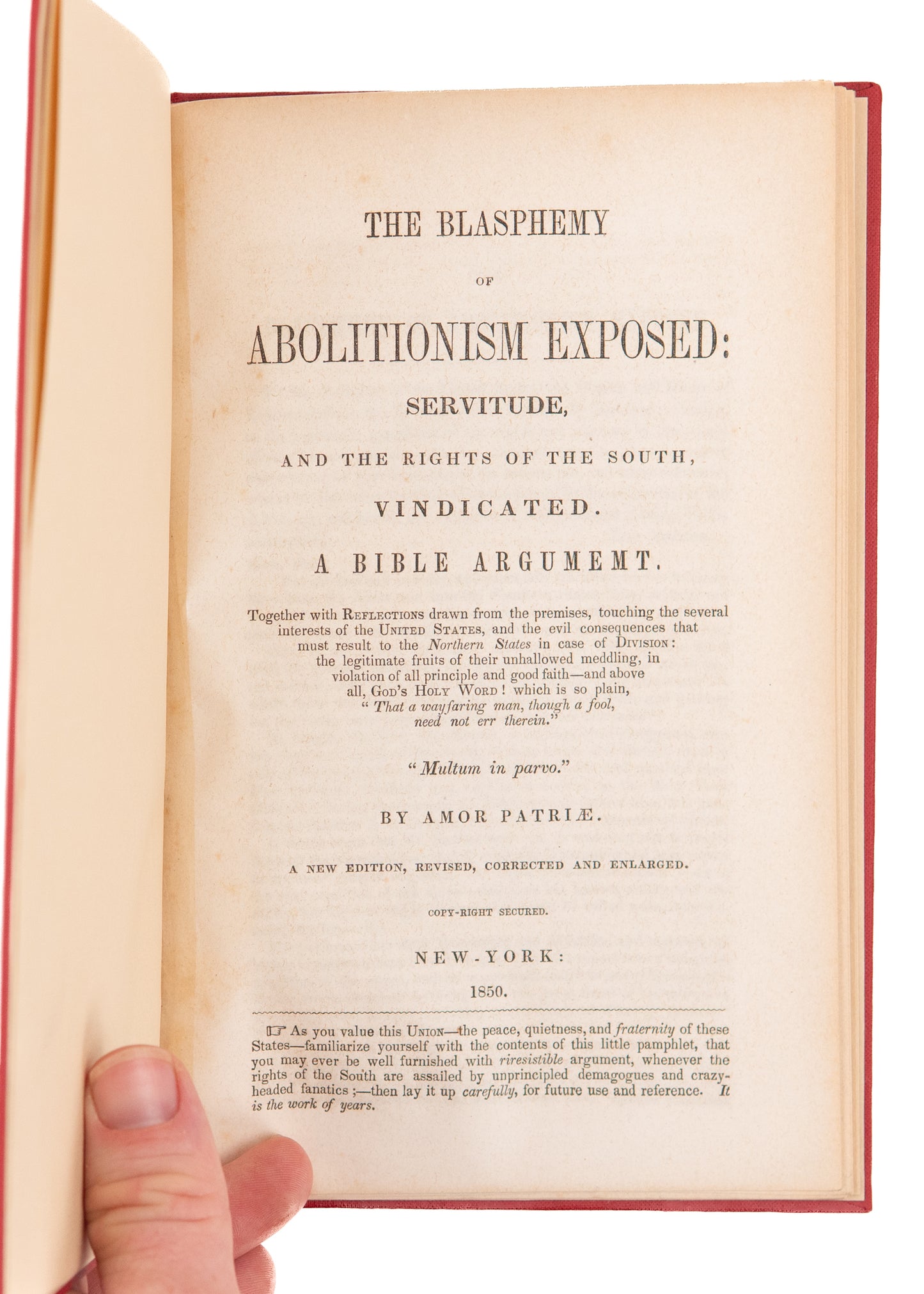 1850 AMOR PATRIAE. The Blasphemy of Abolitionism Exposed. Letters to President Polk. Rare!