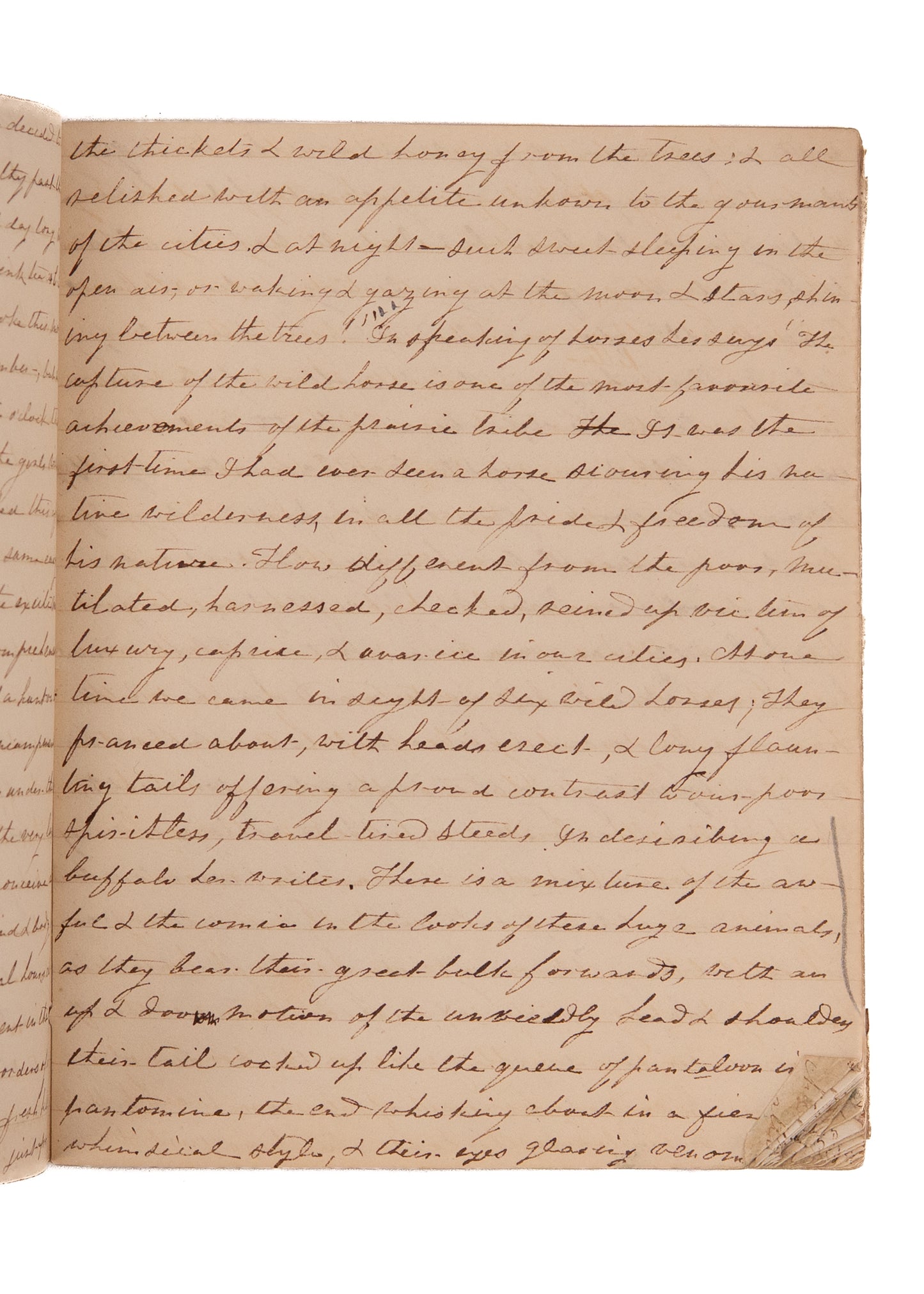 1837 PORTSMOUTH NH DIARY. Religious Revival, Syphilis, Evil of Drink, Cigars, and Novels, &c.