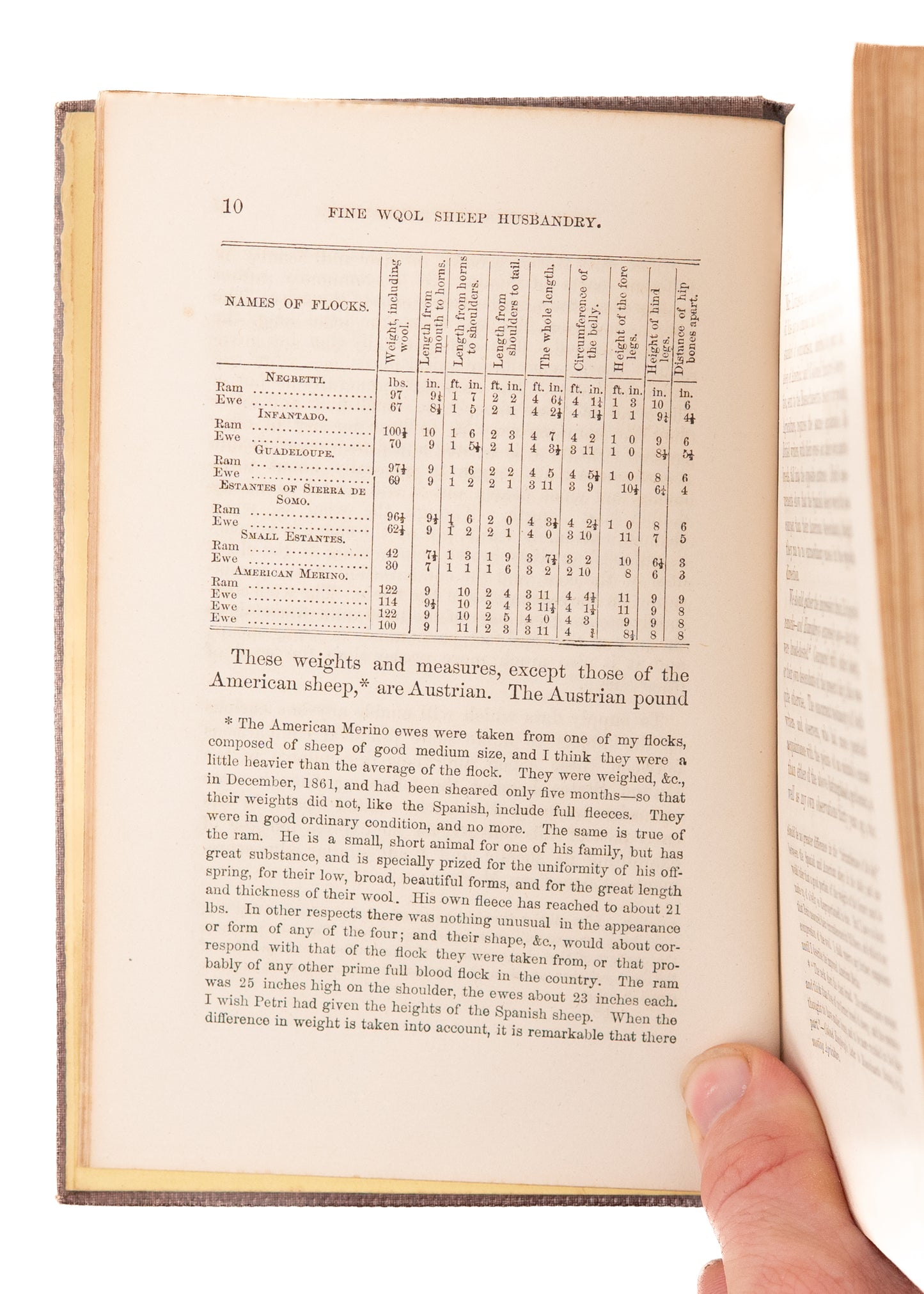 1863 HENRY S. RANDALL. Fine Wool Sheep Husbandry. Rare on Merino Wools & Sheep Breeding.