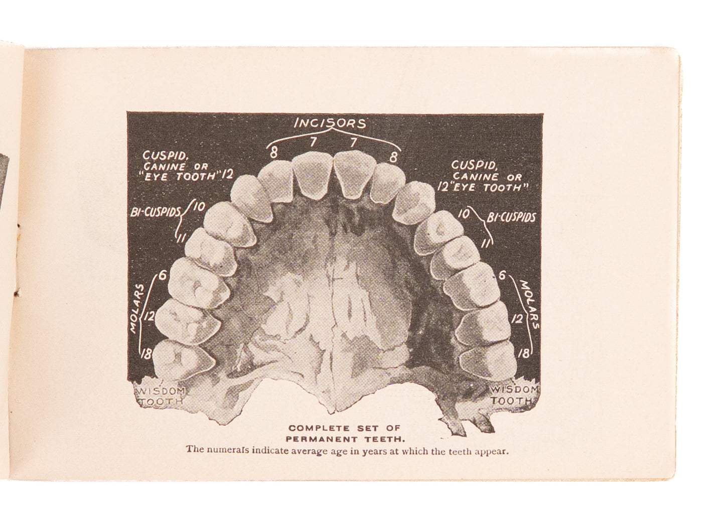 c.1897 COLGATE & CO. The ABC of the Teeth and Tooth Care. Charming Early Dental Pamphlet.