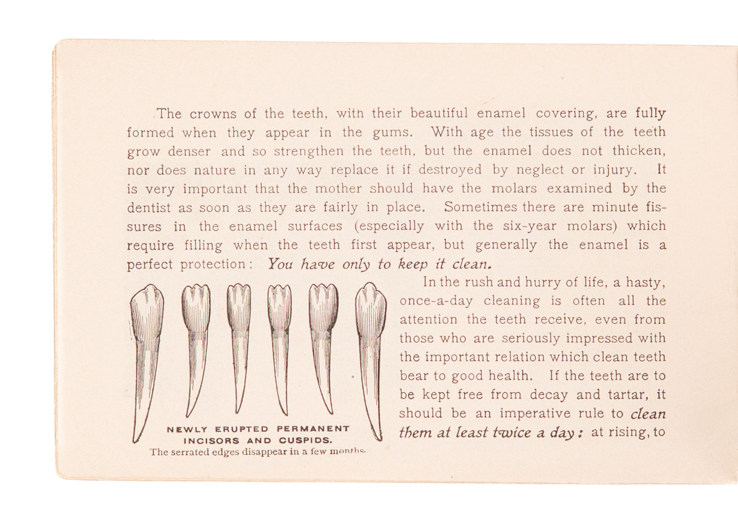 c.1897 COLGATE & CO. The ABC of the Teeth and Tooth Care. Charming Early Dental Pamphlet.