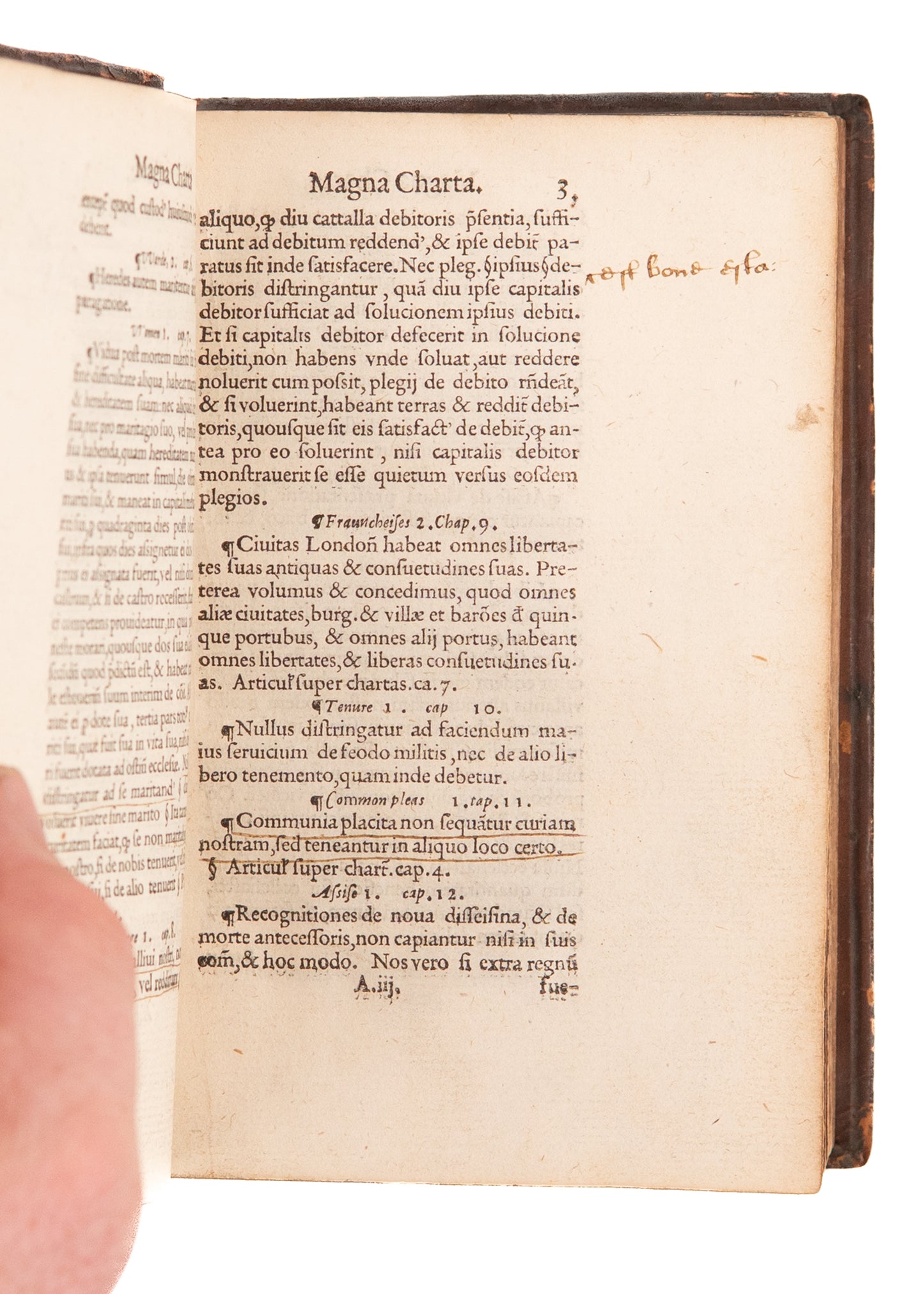 1587 THE MAGNA CARTA. Influenced by Constitution & Declaration of Independence - Owned by King James Solicitor