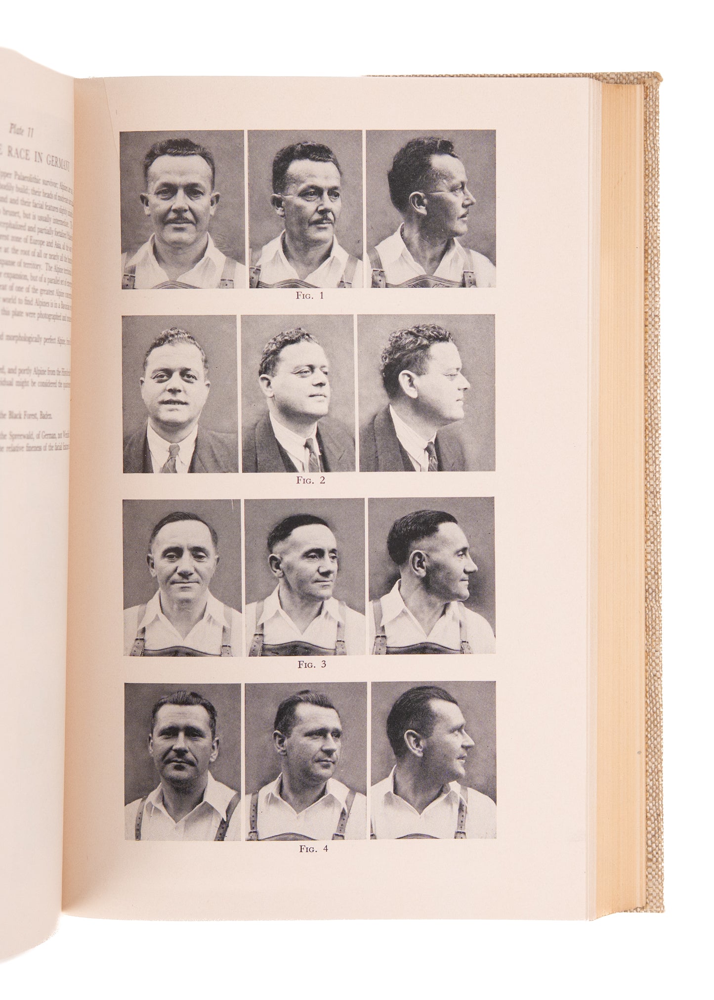 1939 EUGENICS & SEGREGATION. Seminal First Edition of Influential Segregationist Text - Used in Brown Vs. Board of Ed.