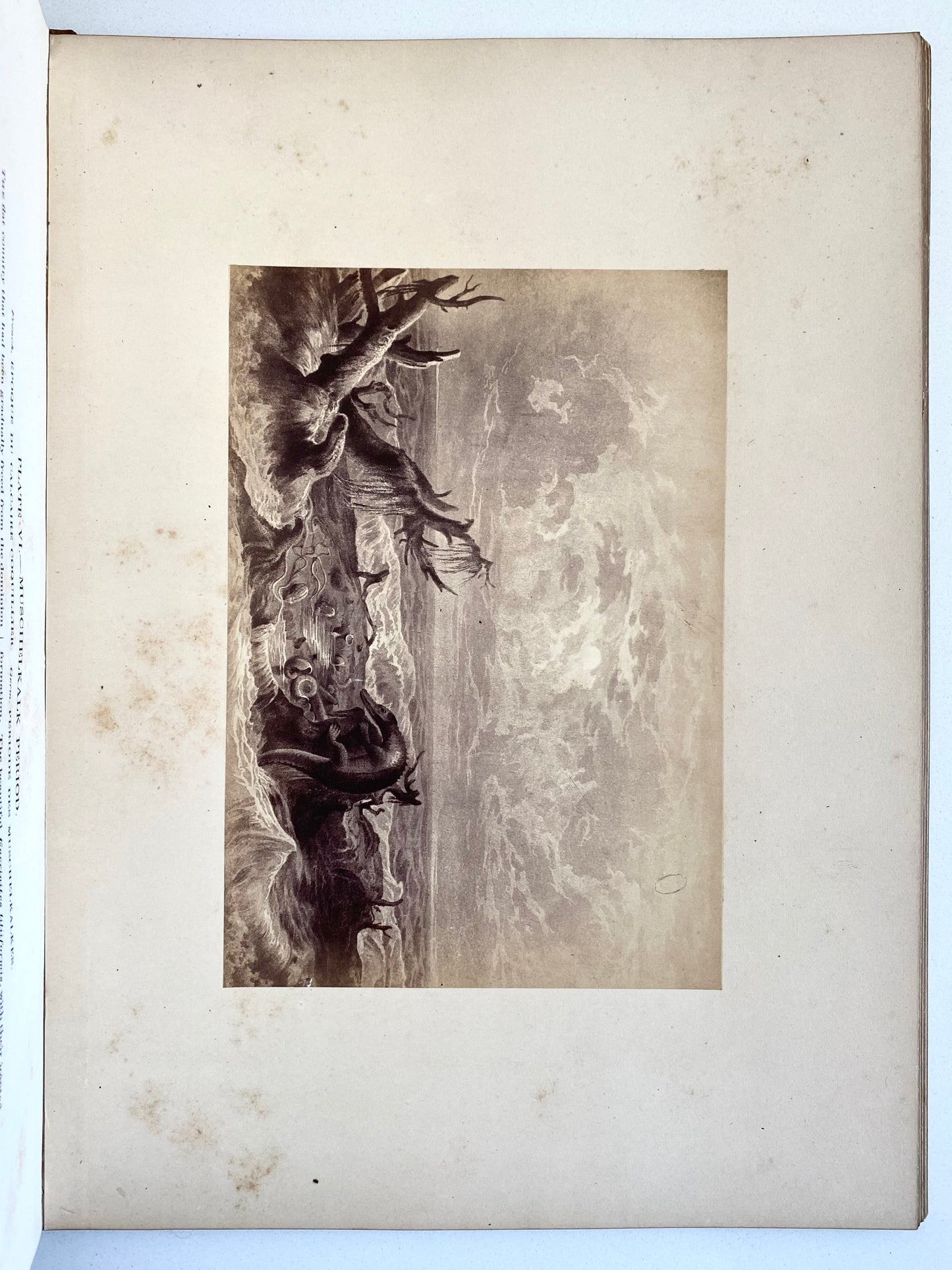 1859 FRANZ UNGER. Ideal Views of the Primitive World. Rare Illustrated Work on Paleontology, Dinosaurs, &c.