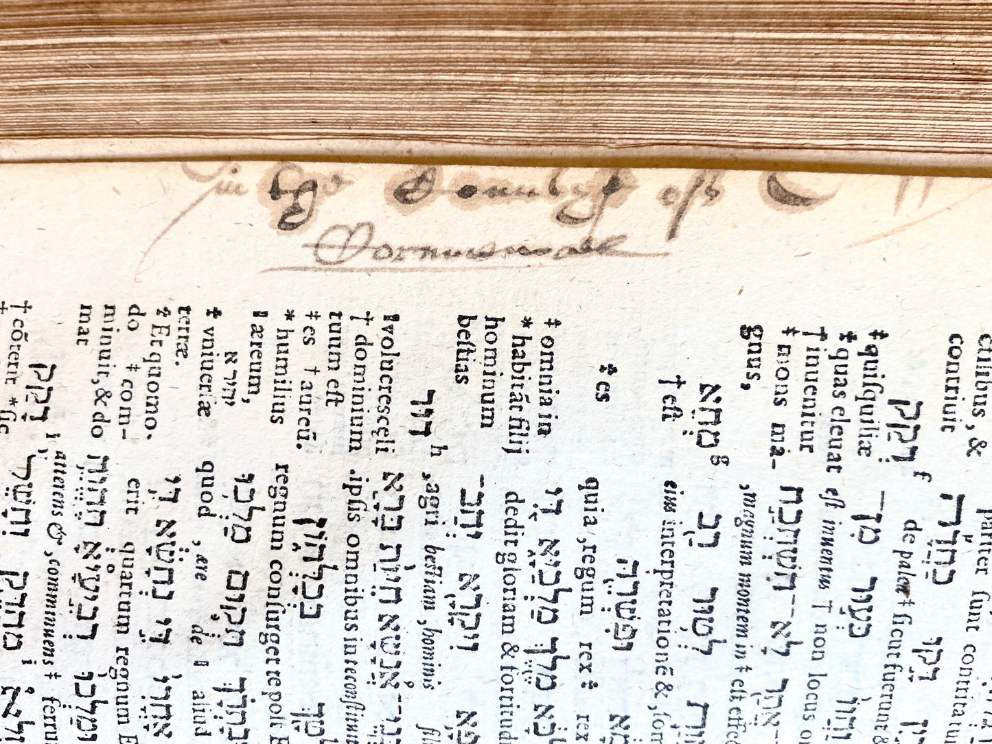 1572 CHRISTOPHER PLANTIN. Interlinear Old and New Testaments. The Greatest Biblical Printing of the Era.