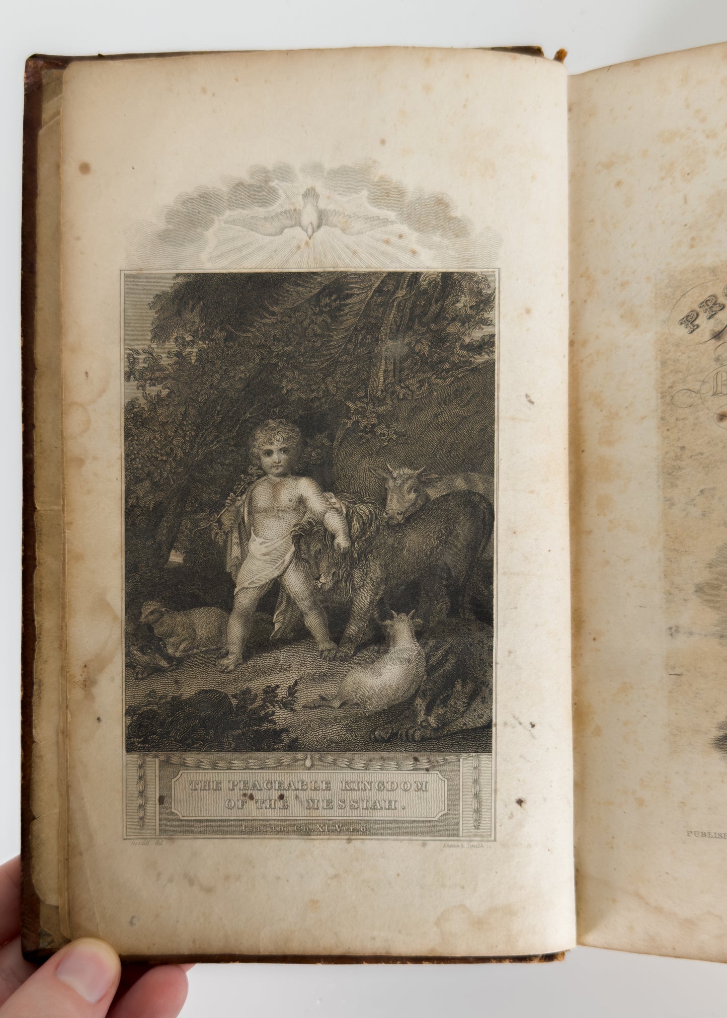 1826 PRONOUNCING BIBLE. Provenance to Influential Early Abortion Death and Court Case.