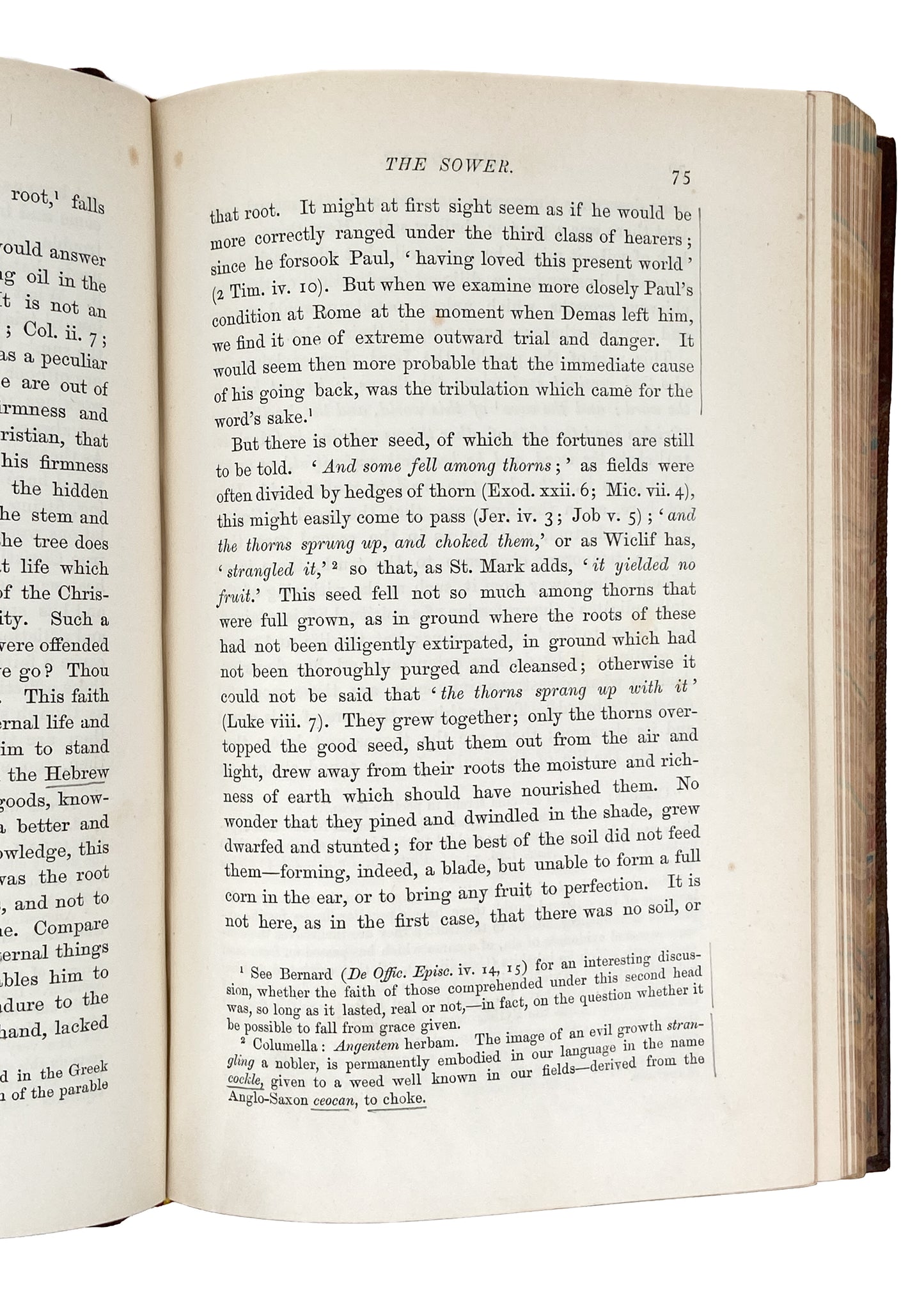 1870 R. C. TRENCH. Notes on the Parables of Our Lord. Fine Binding & Spurgeon Recommended.