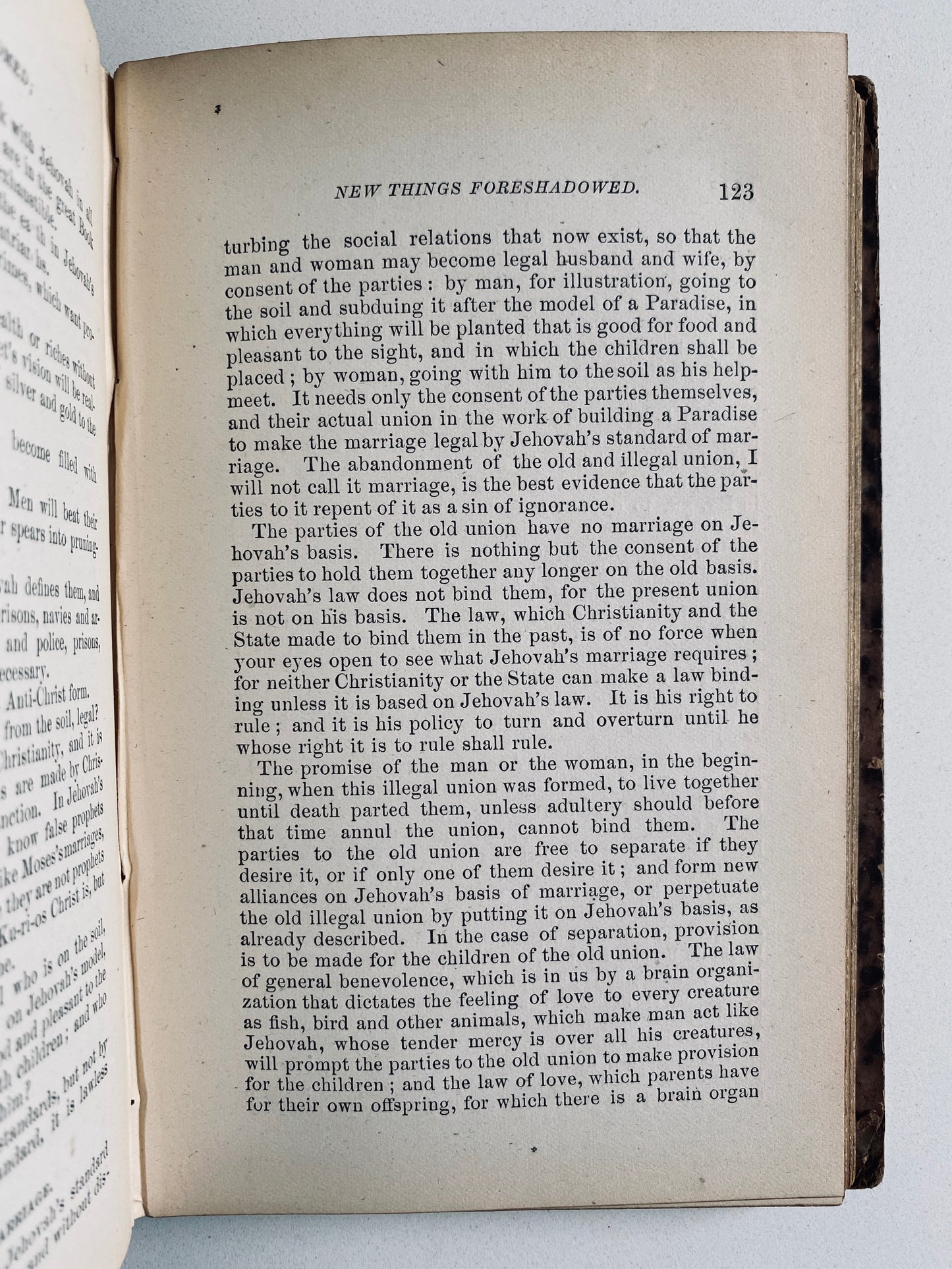 1879 JOSEPH C. ADDINGTON. The Long-Lost New and Old Testaments. Absolutely Bonkers!