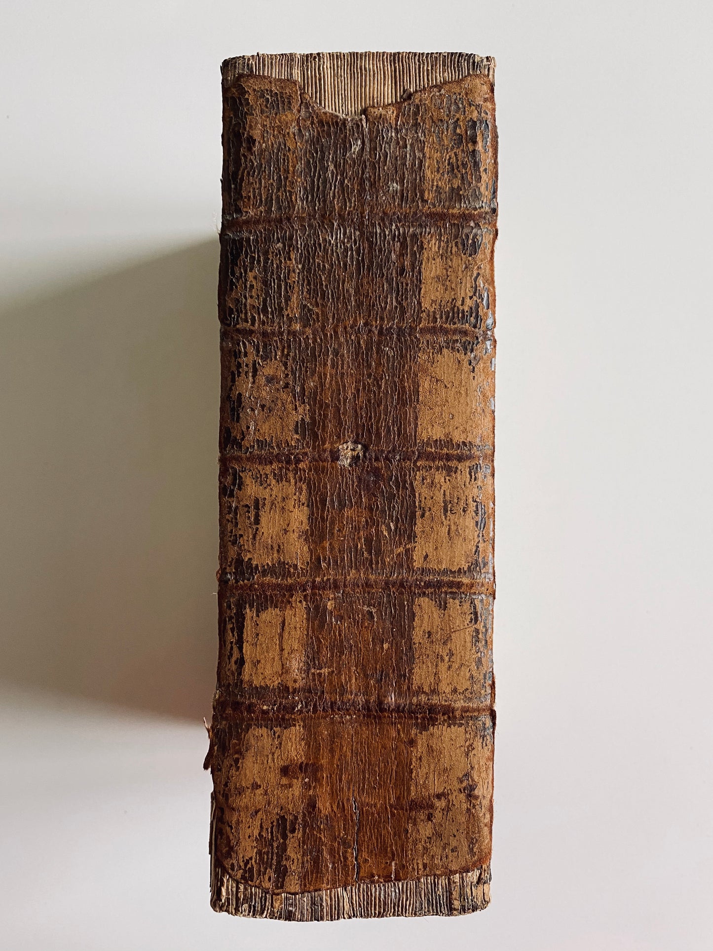 1801 GOD + A BAD TYPESETTER. The Murder's Bible. Rare 1801 Deviant Misprint Edition of King James Bible