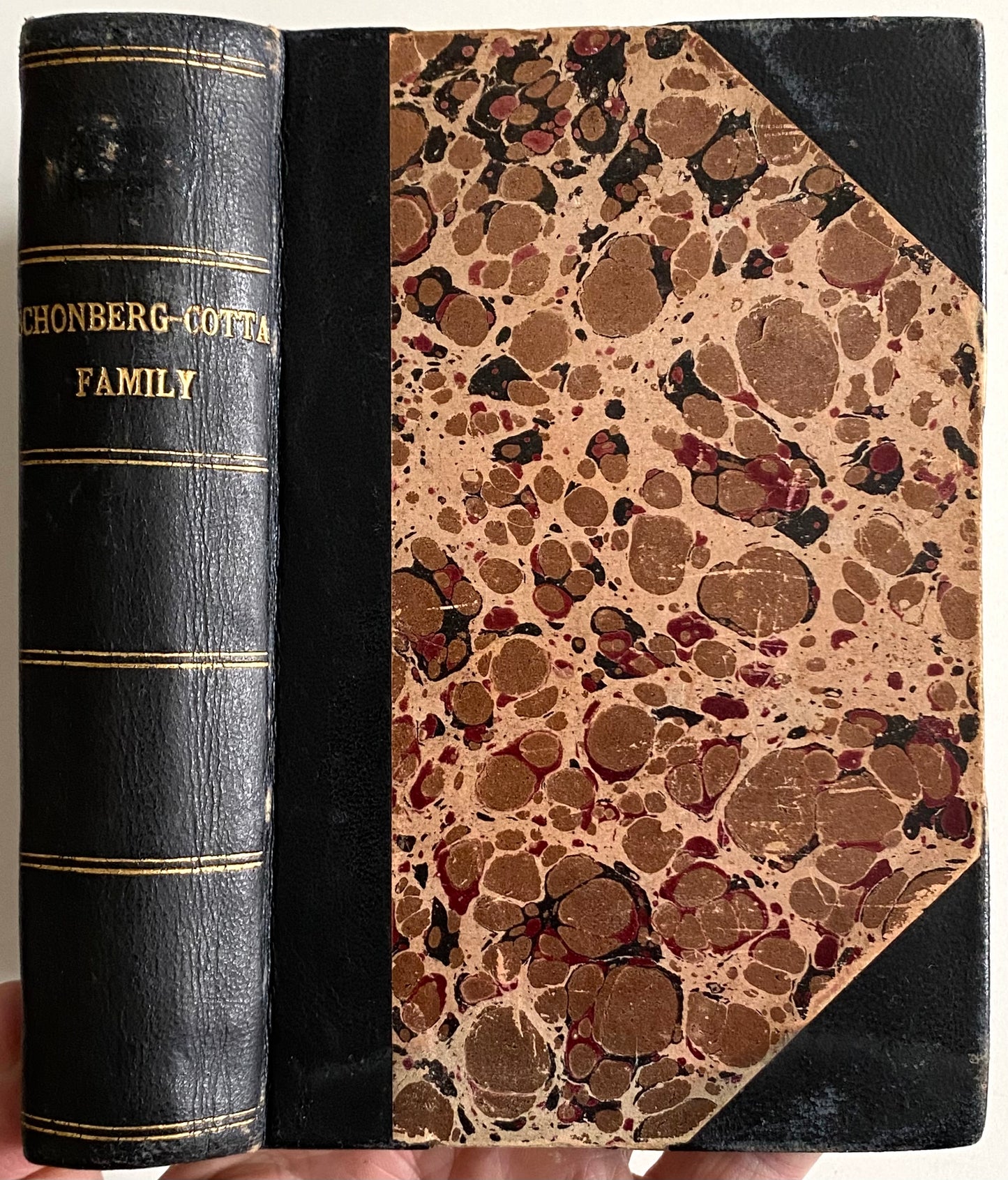 1868 MARTIN LUTHER. Chronicles of the Schonberg-Cotta Family. German Reformation.