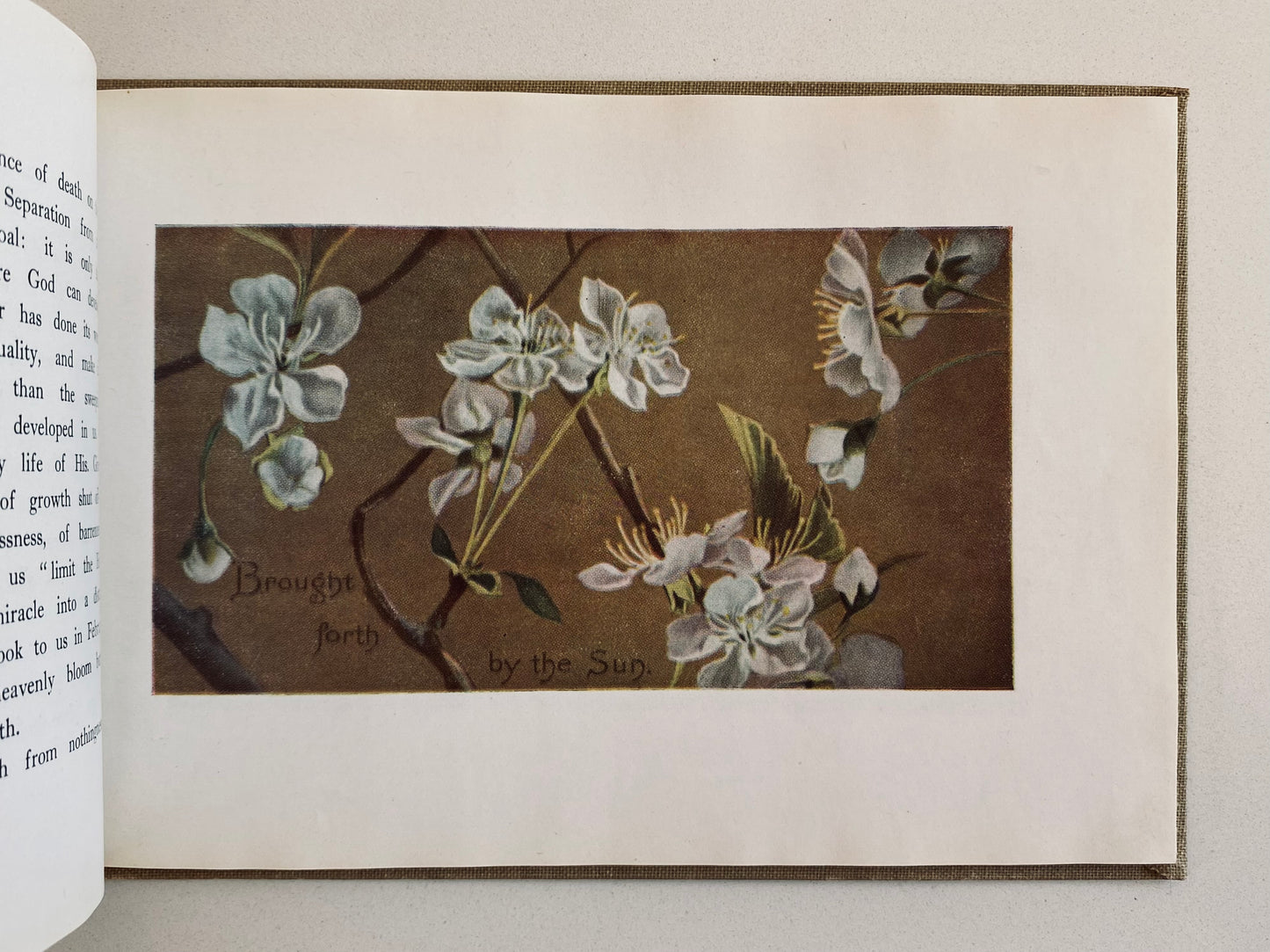 1947 I. LILIAS TROTTER. Parables of the Cross. Superb Vintage Edition.