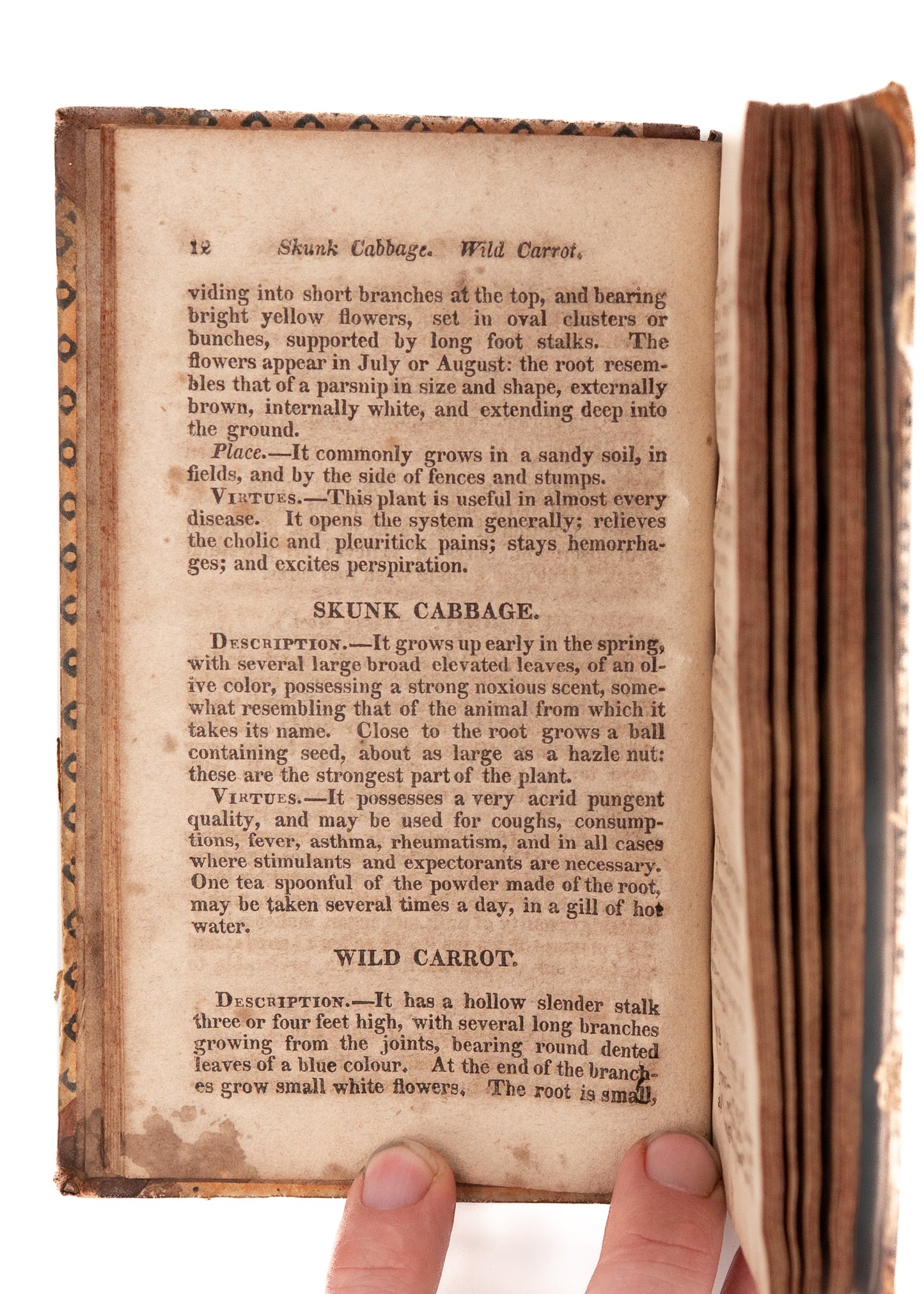 1828 JONAS RISHEL. The Indian Physician. Important Early American Healing w/ Provenance.