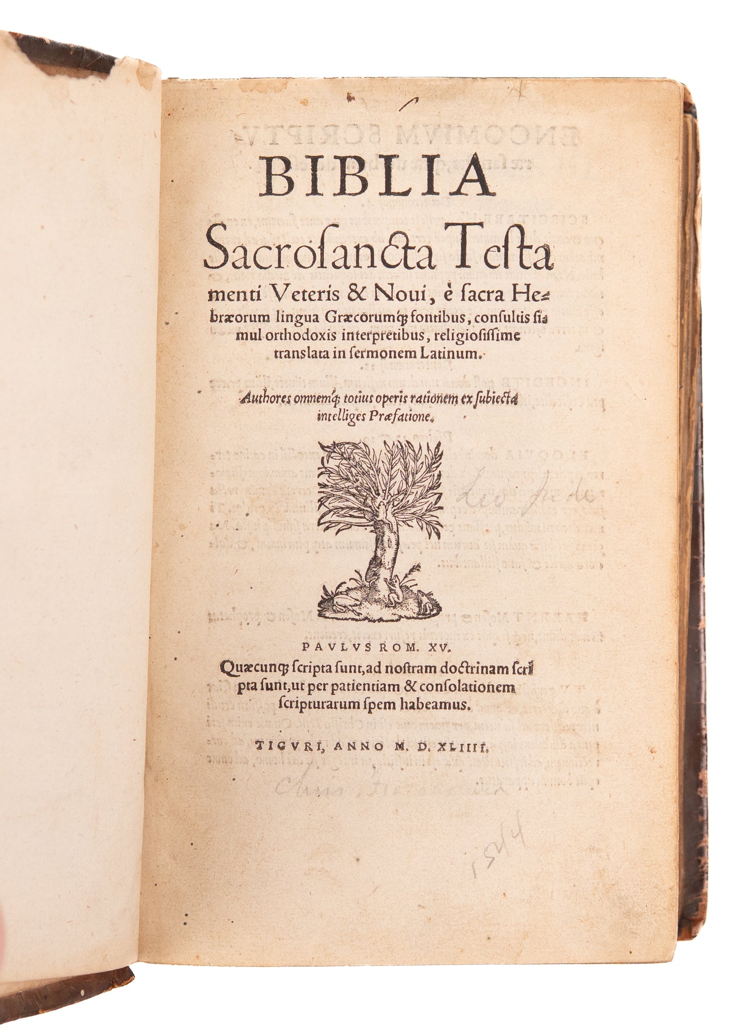 1544 ZURICH REFORMATION BIBLE. First Latin Edition of the Reformation Text for Swiss Reformation.