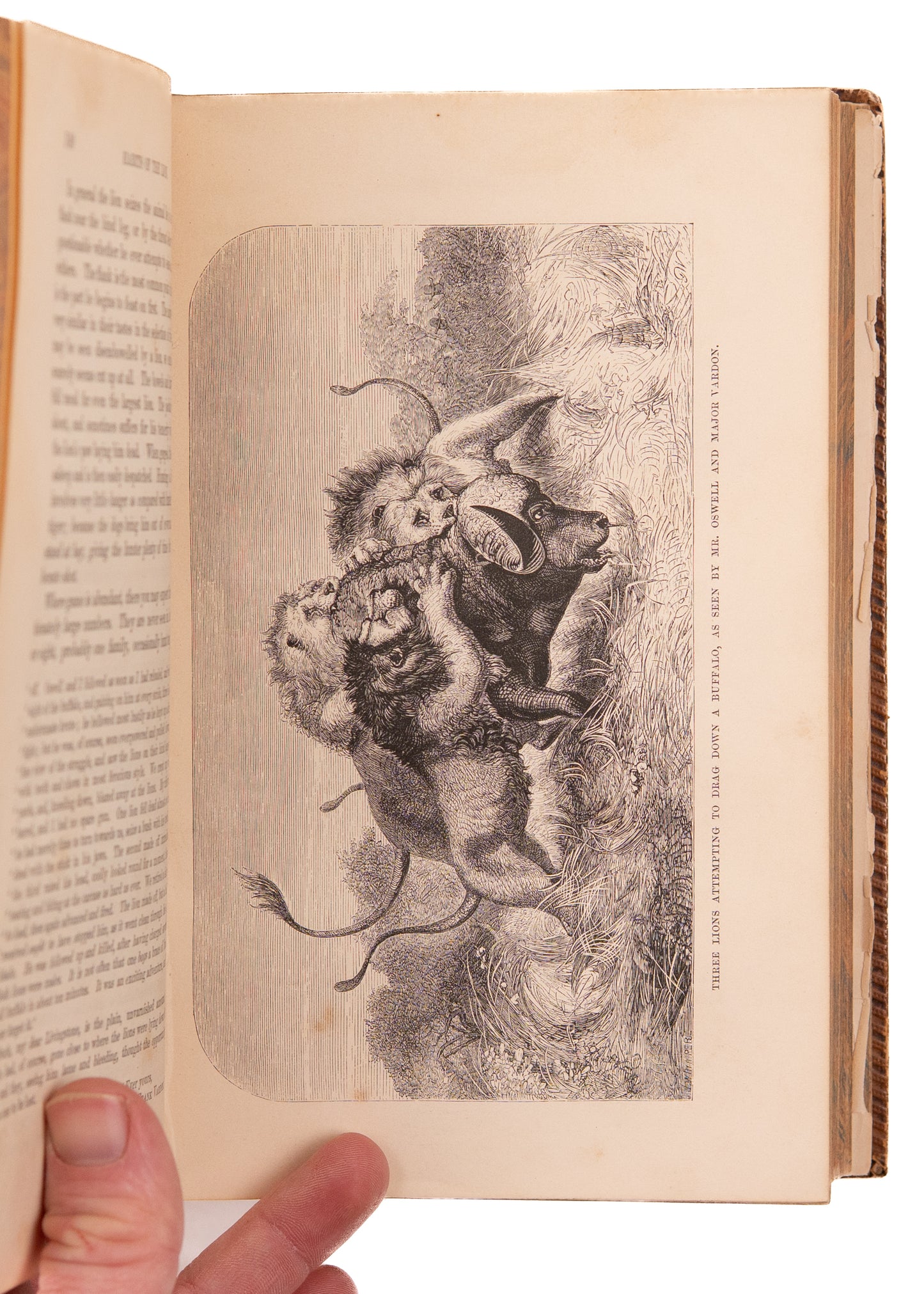 1857 DAVID LIVINSTONE. First Edition of Livingstone's Missionary Classic, Owned by Apollo 11 Legend