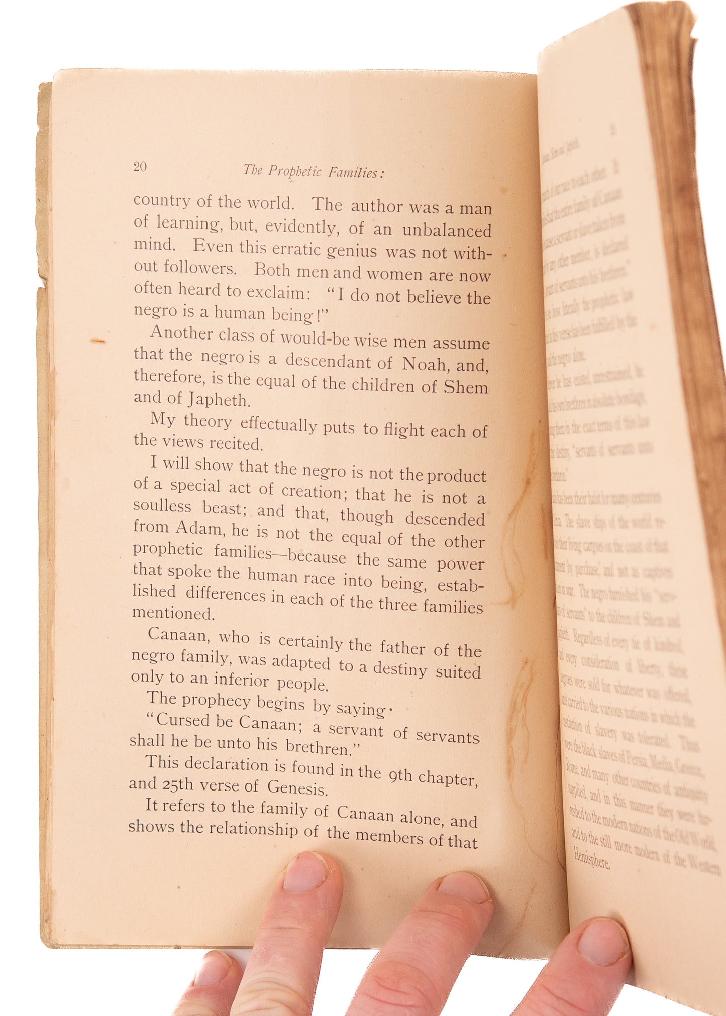 1895 J. TROUP TAYLOR. The Prophetic Families; or, The Negro: His Origin, Destiny and Status