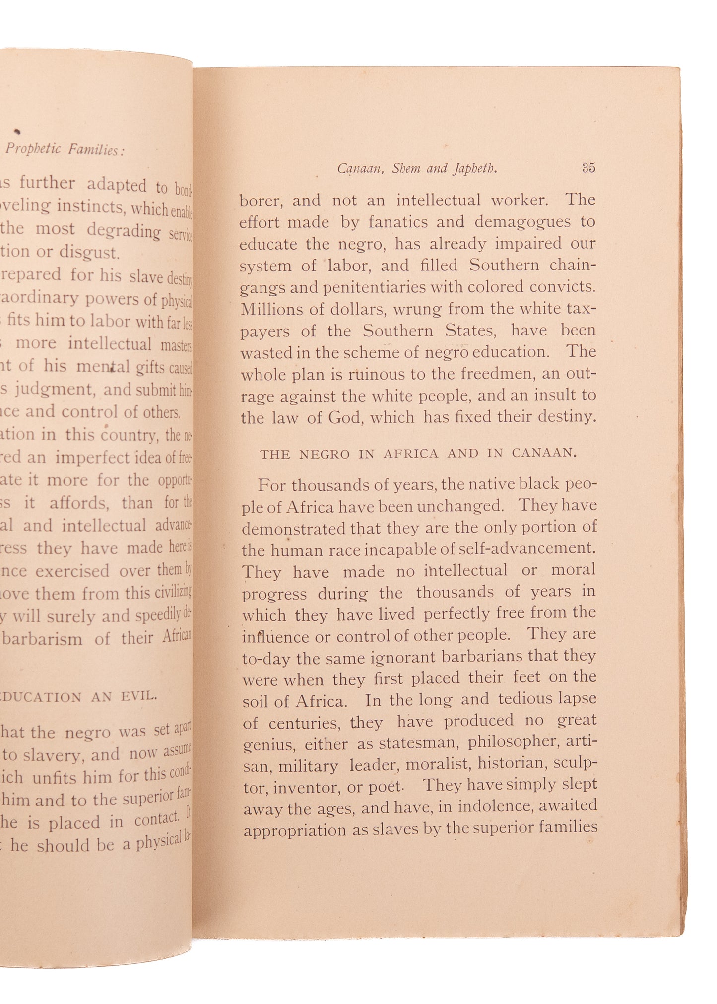 1895 J. TROUP TAYLOR. The Prophetic Families; or, The Negro: His Origin, Destiny and Status