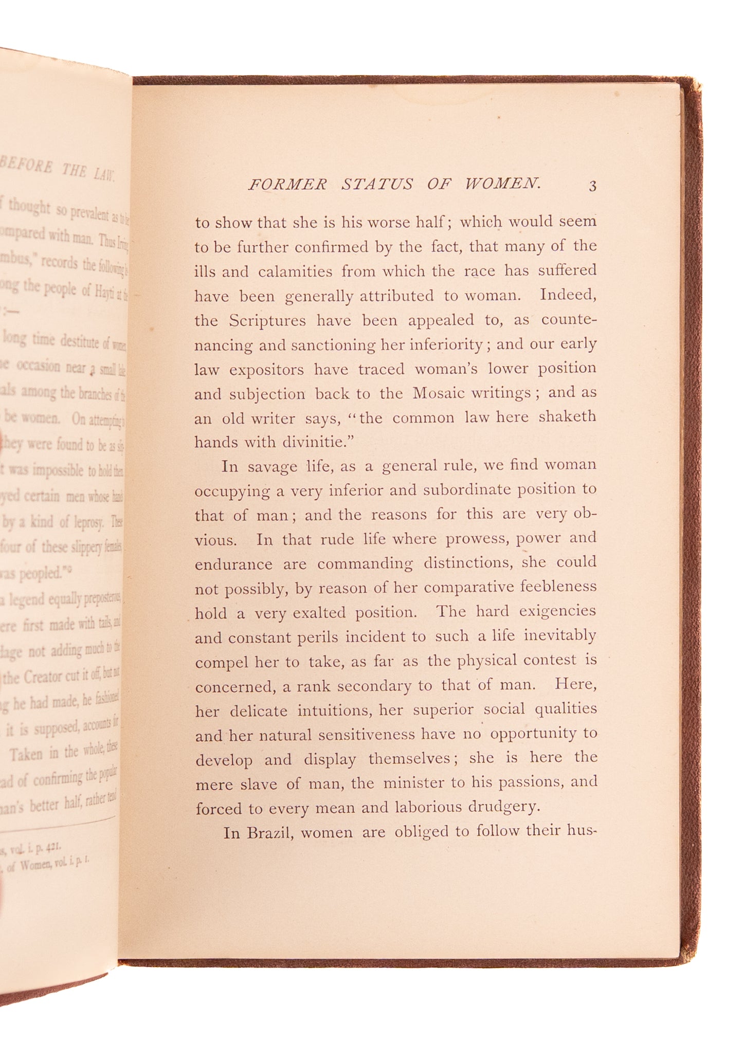 1874 WOMEN'S RIGHTS. Foundational Text on the Legal Status of Women before the Law by John Proffatt