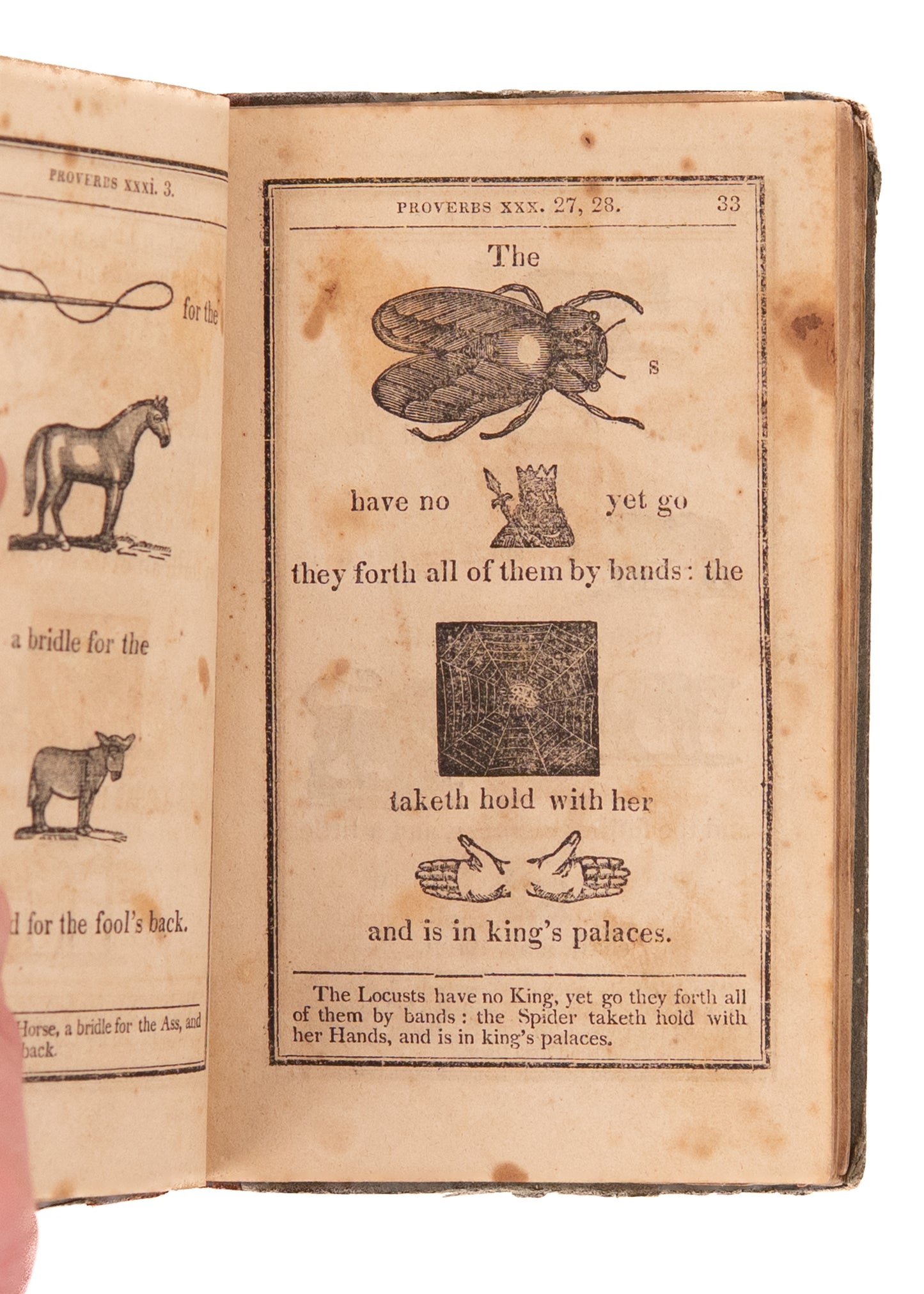 1818 HIEROGLYPHICAL BIBLE. Superb Woodcut American Edition of Bible for the Young.