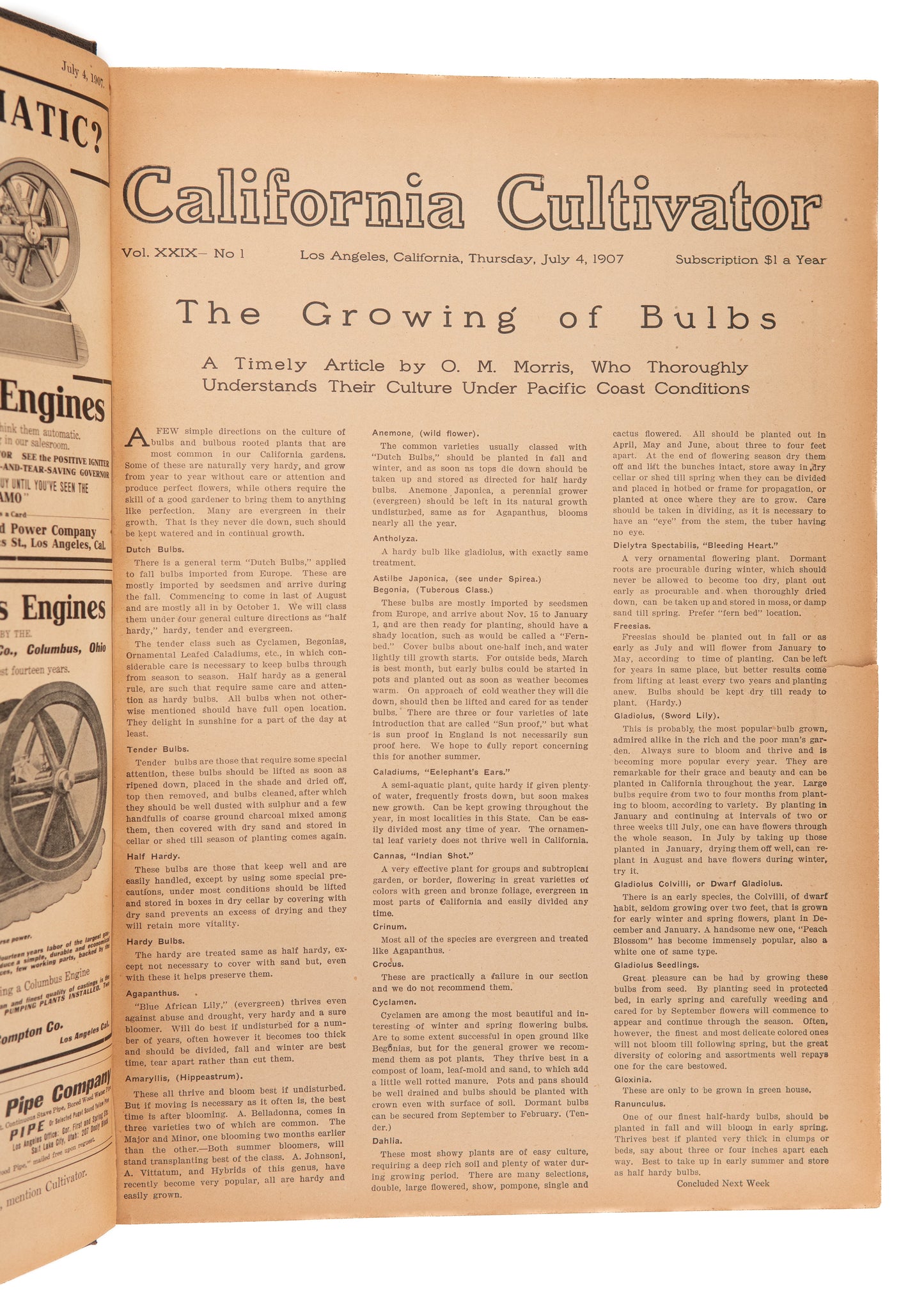 1907 CALIFORNIA CULTIVATOR. Rare on Agriculture, Farming, and Ecology in California.