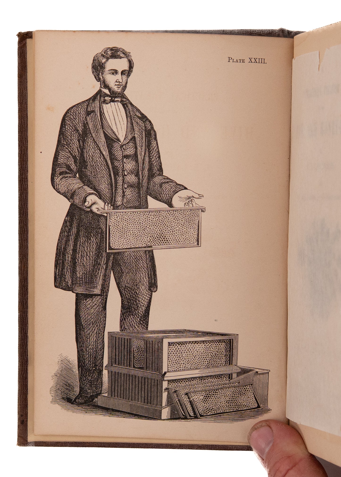 1860 BEE-KEEPING. Final Revisions of theMost Significant Bee Keeping Book of the 19th Century.