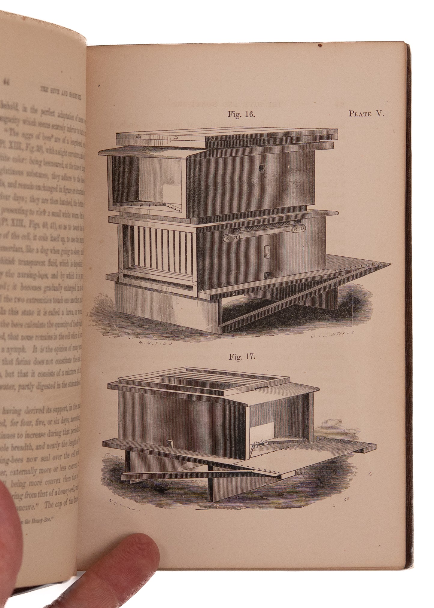 1860 BEE-KEEPING. Final Revisions of theMost Significant Bee Keeping Book of the 19th Century.