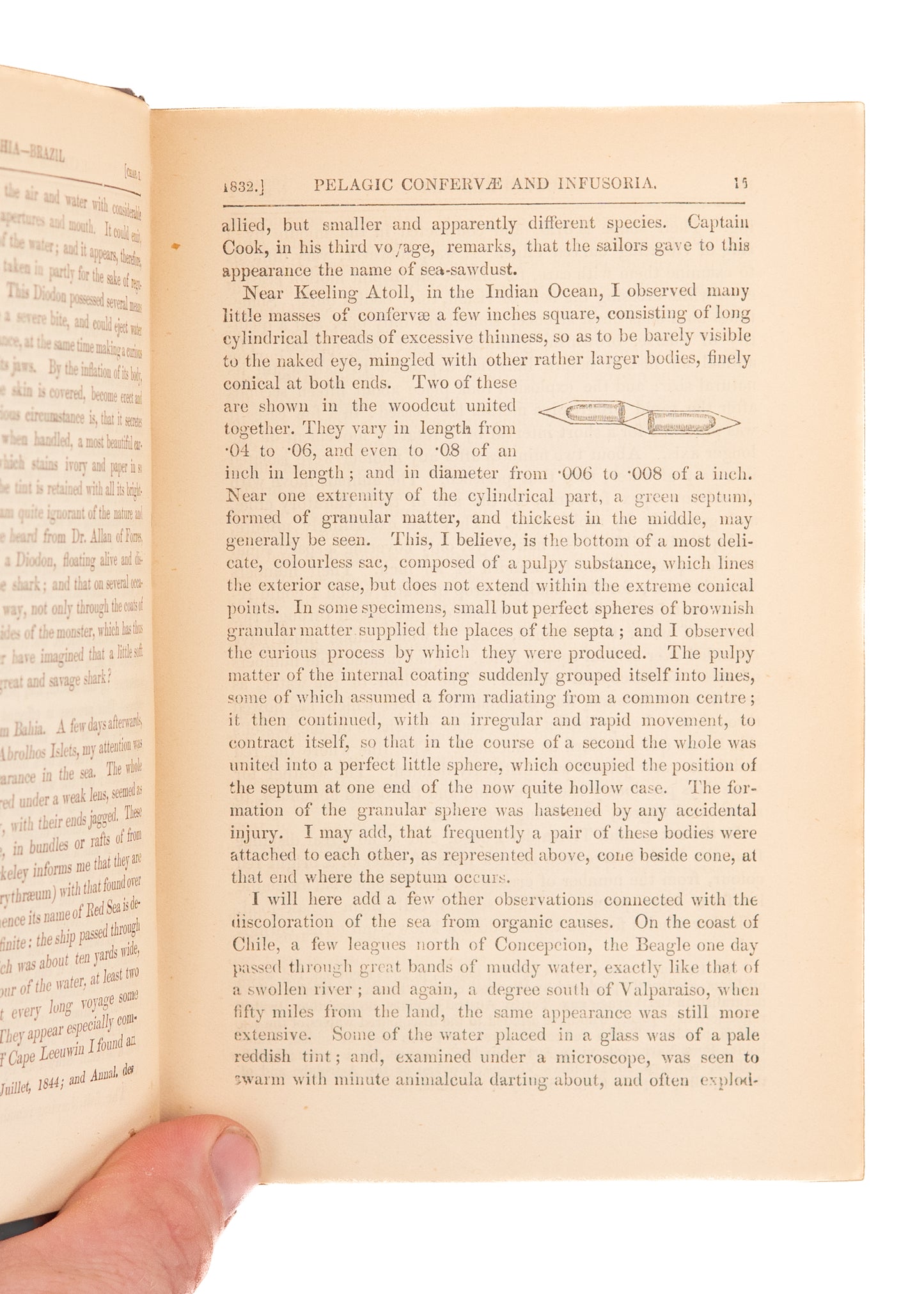 1889 CHARLES DARWIN. A Naturalists Voyage on the H.M.S. Beadle. Very Attractive.