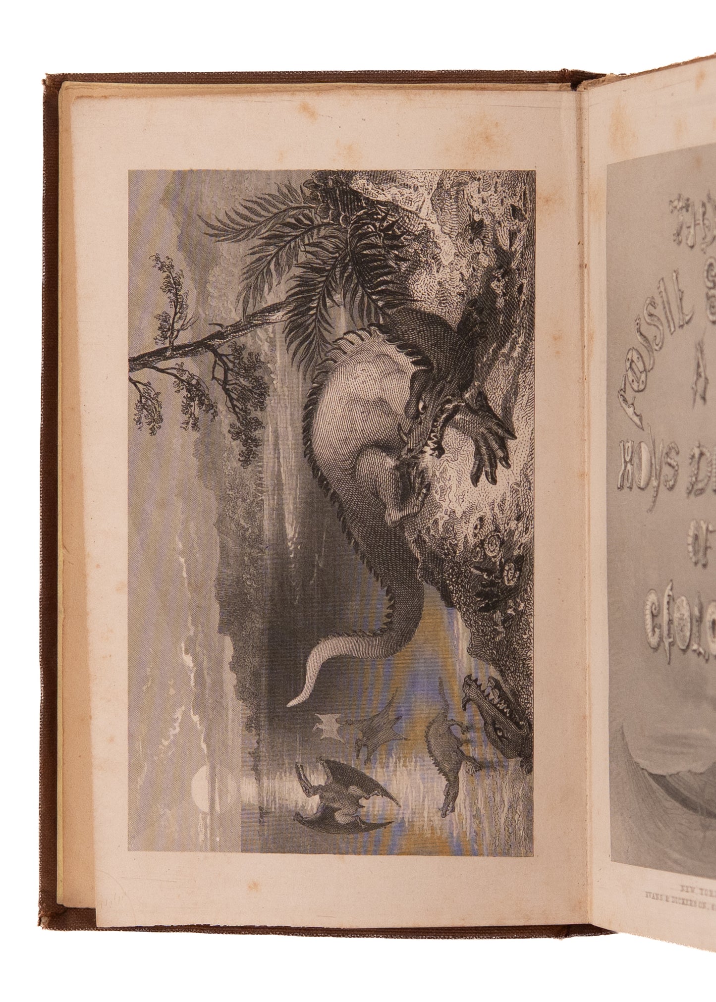 1854 JOHN MILL. Early Paleontology Novel with Time Travel, Dinosaurs, &c. Exceptionally Rare.