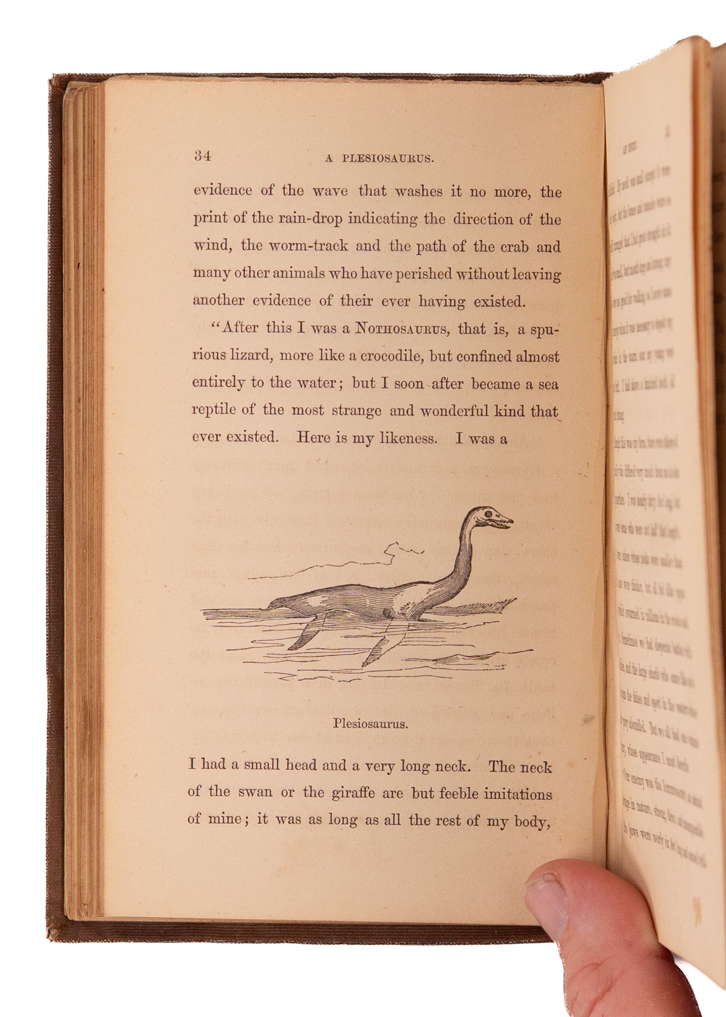 1854 JOHN MILL. Early Paleontology Novel with Time Travel, Dinosaurs, &c. Exceptionally Rare.
