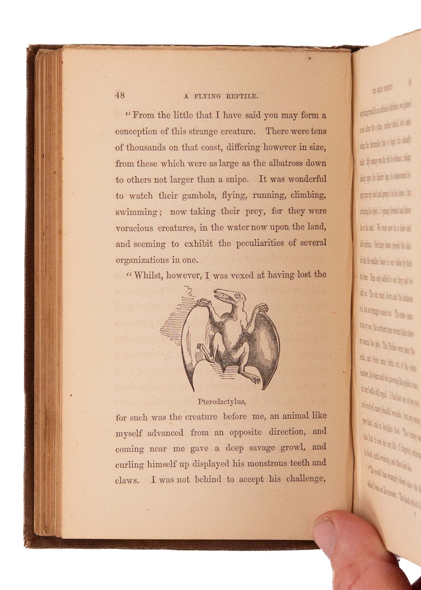 1854 JOHN MILL. Early Paleontology Novel with Time Travel, Dinosaurs, &c. Exceptionally Rare.