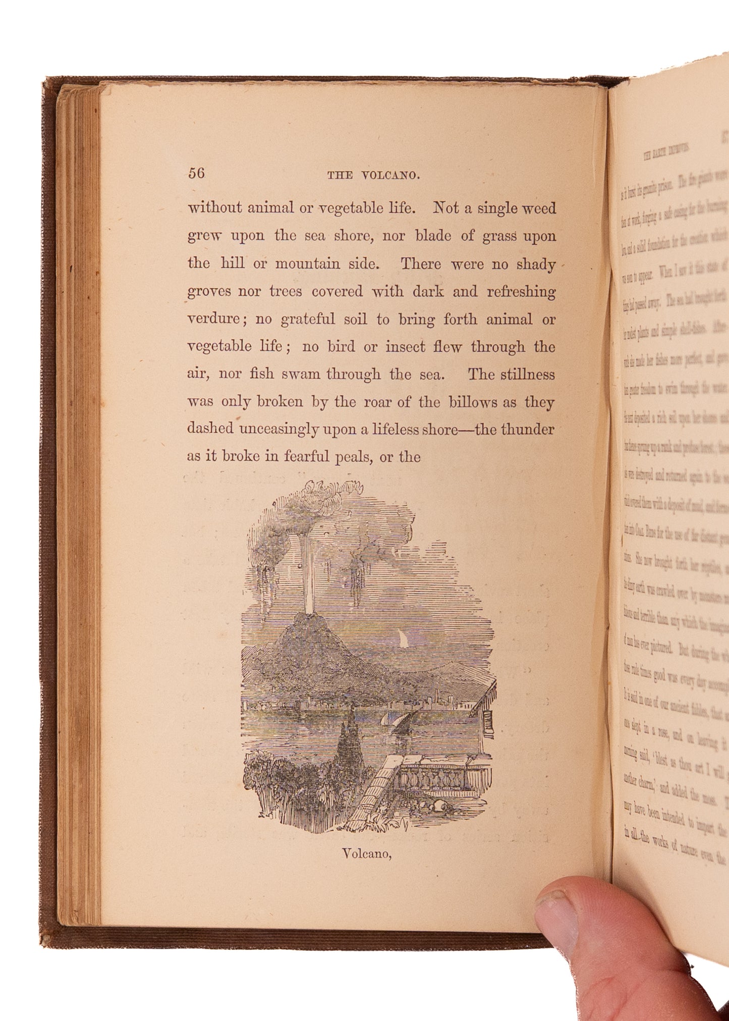 1854 JOHN MILL. Early Paleontology Novel with Time Travel, Dinosaurs, &c. Exceptionally Rare.