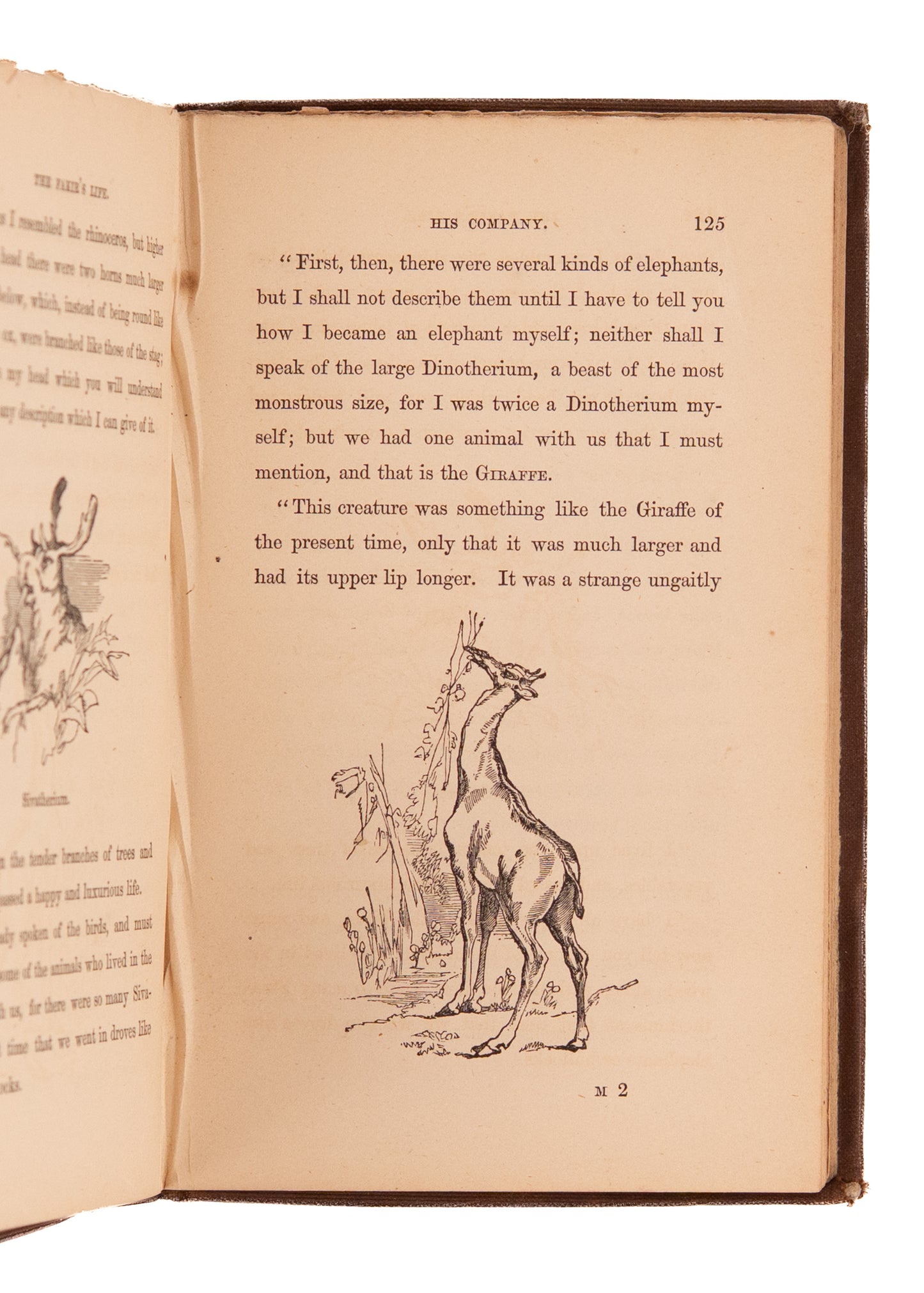 1854 JOHN MILL. Early Paleontology Novel with Time Travel, Dinosaurs, &c. Exceptionally Rare.