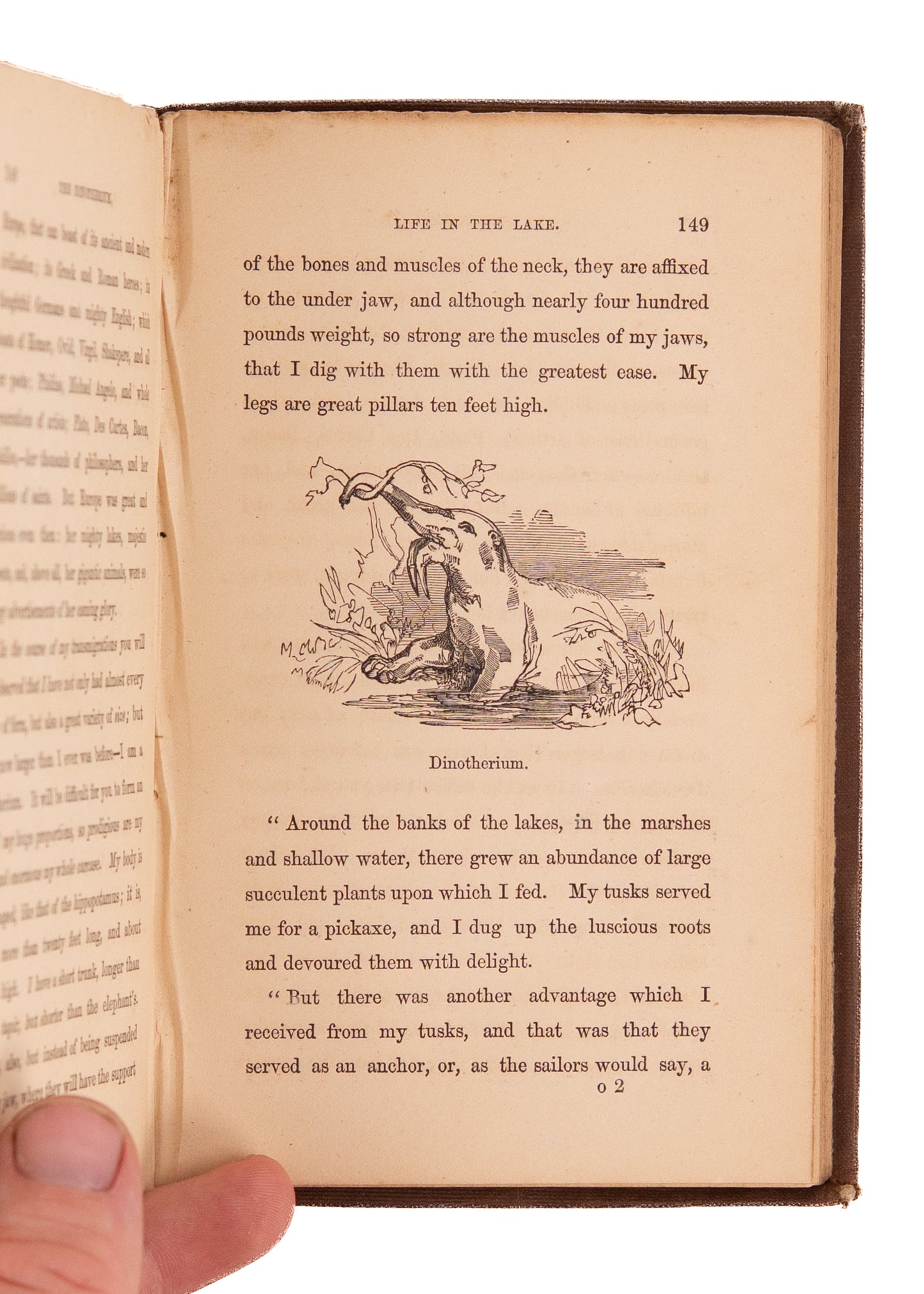 1854 JOHN MILL. Early Paleontology Novel with Time Travel, Dinosaurs, &c. Exceptionally Rare.