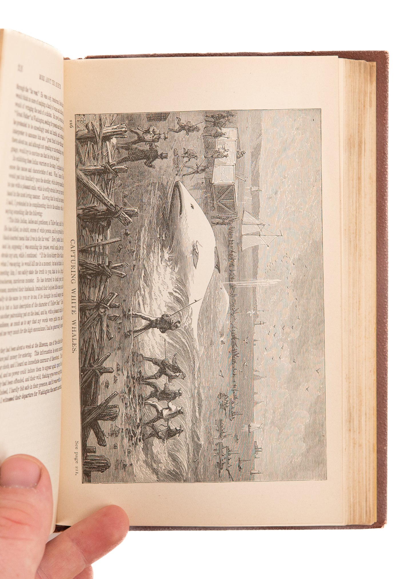 1888 P. T. BARNUM. Rare Signed, "Advance" Copy of his 1888 Autobiography.