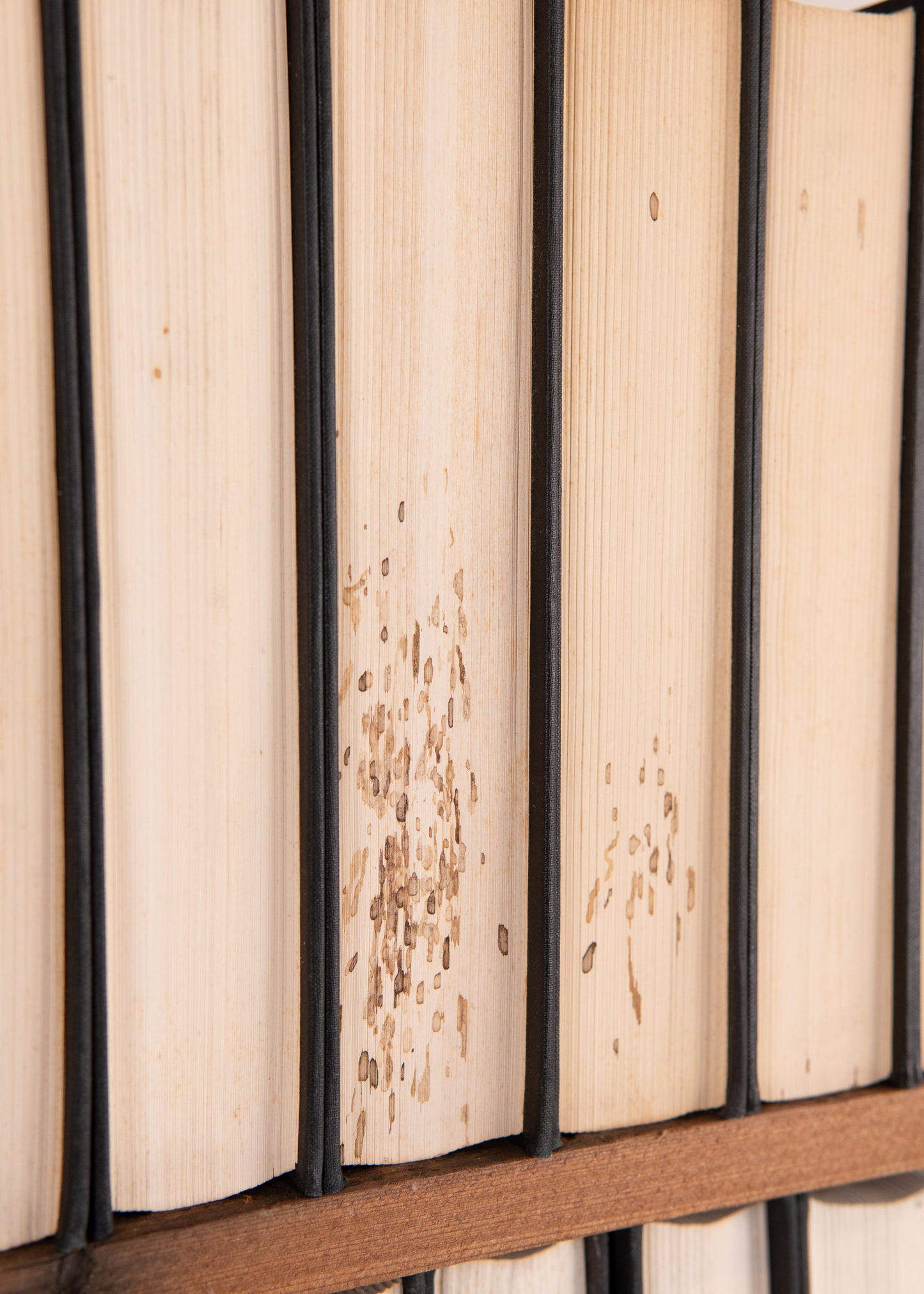 1861-1917 C. H. SPURGEON. The Metropolitan Tabernacle Pulpit  Complete in 56 Volumes.