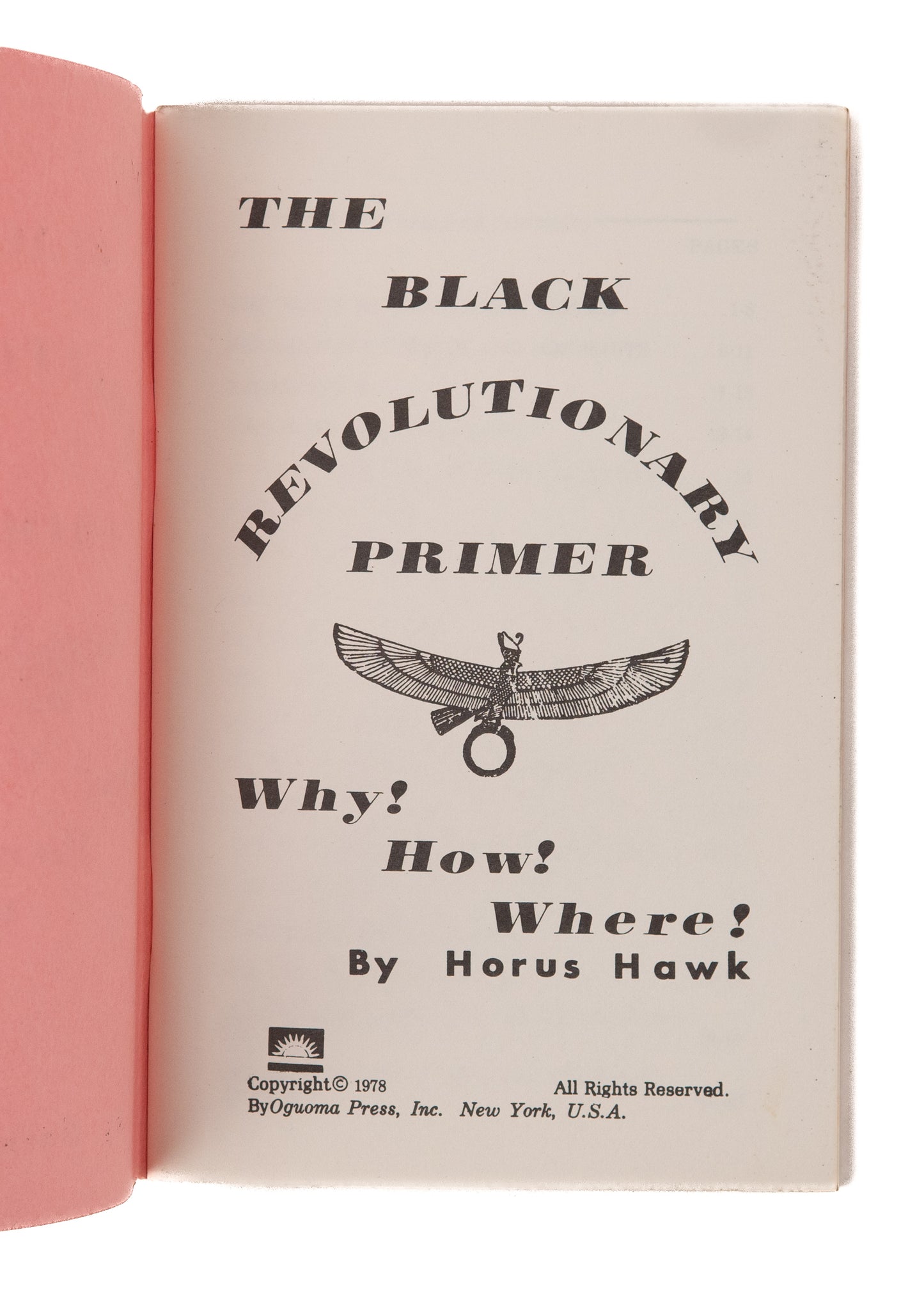 1978 HORUS HAWK. The Black Revolutionary Primer. Why! How! Where! Black Panthers, Antifa.