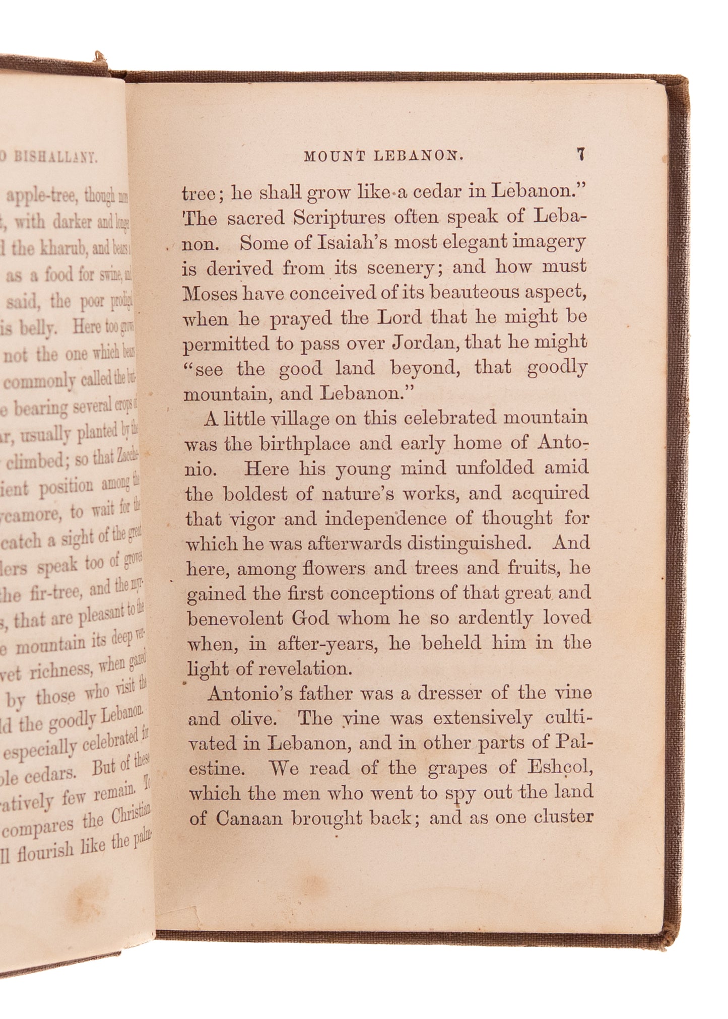 1856 LEBANESE CHRISTIAN. Memoir of Antonio Bishallany, The First Arab-American Immigrant.