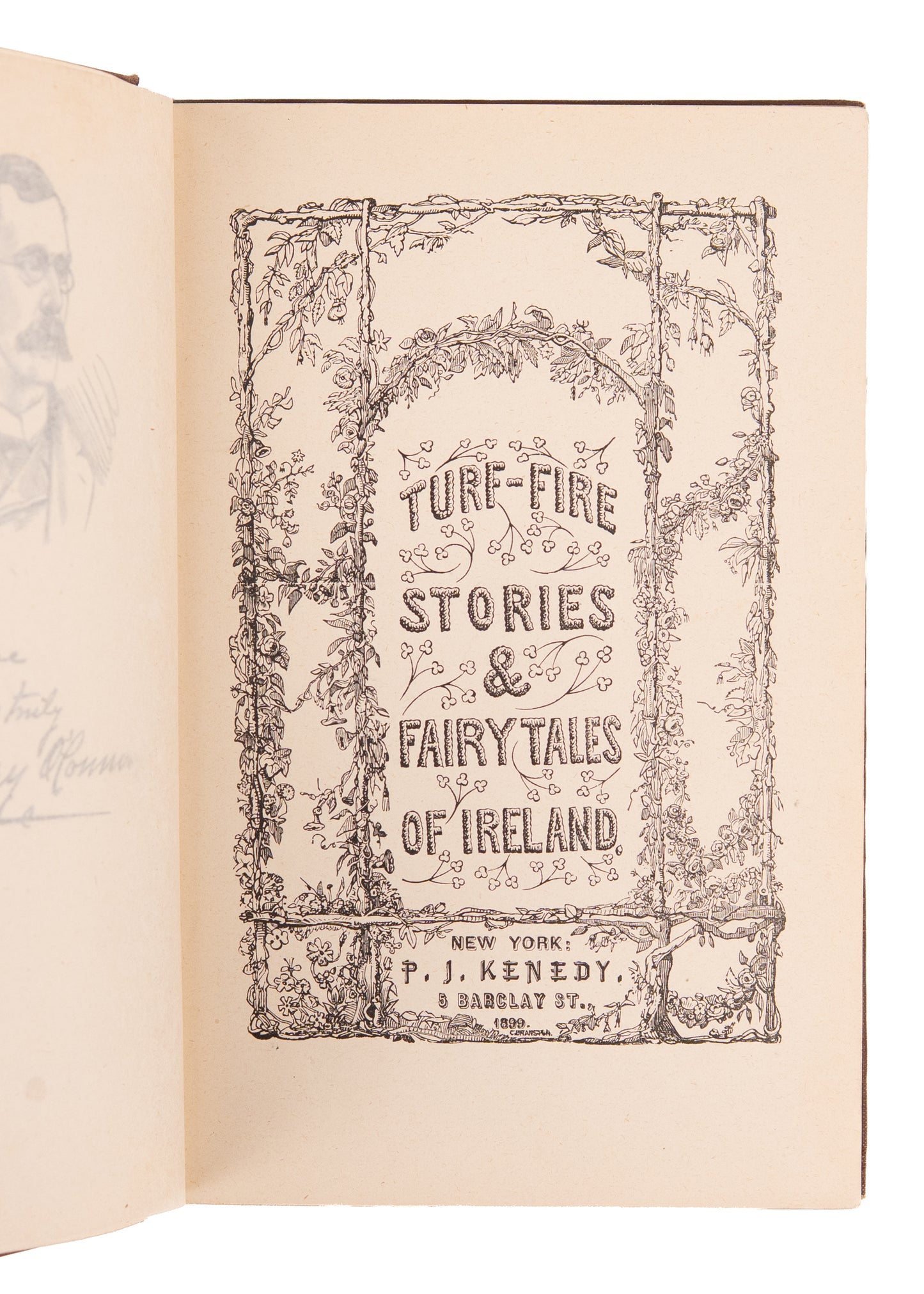 1890 IRISH LEPRECHAUNS & FAIRIES. The Stories & Fairy Tales of Ireland for Americans - Ghosts & Decapitation.