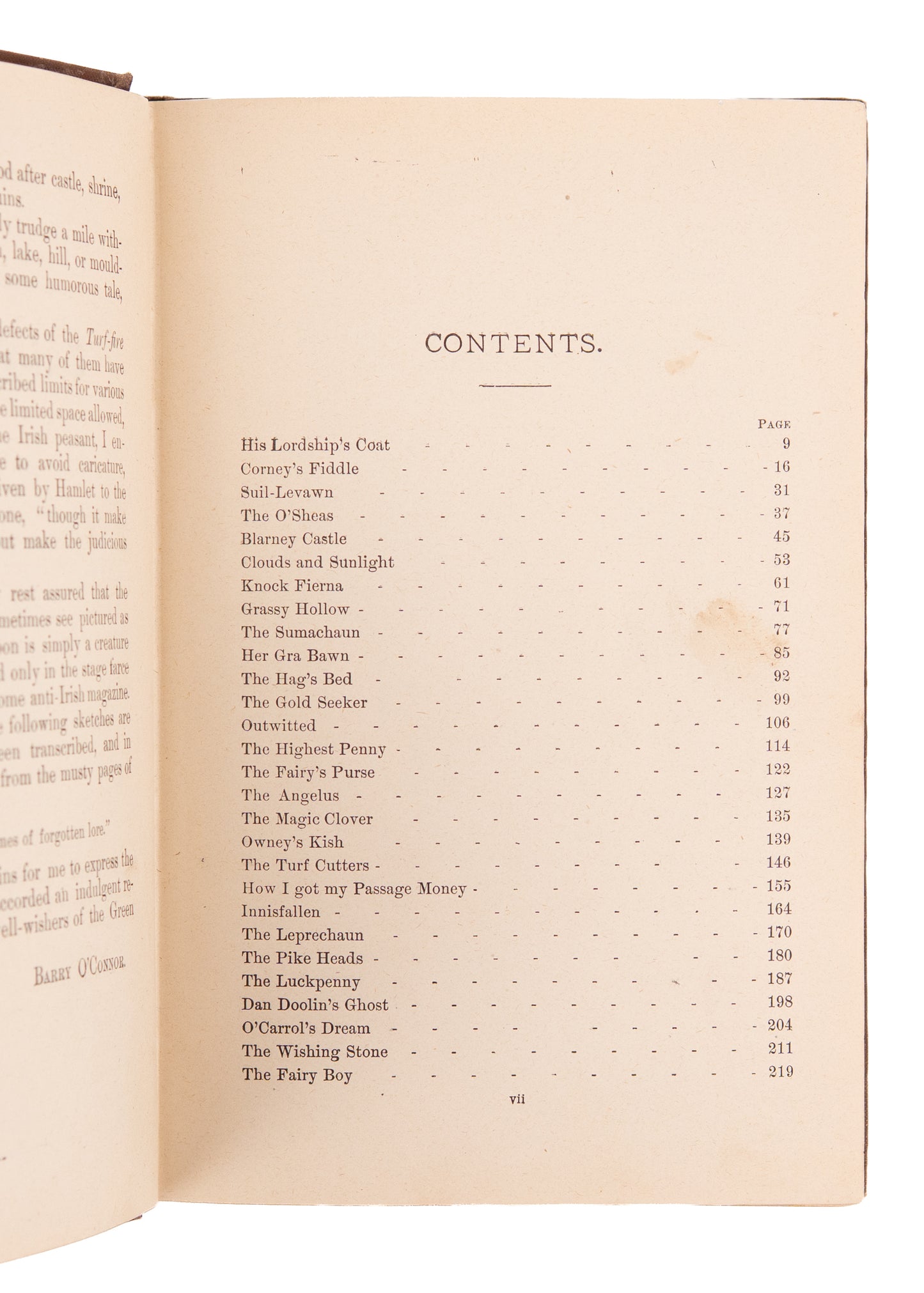1890 IRISH LEPRECHAUNS & FAIRIES. The Stories & Fairy Tales of Ireland for Americans - Ghosts & Decapitation.