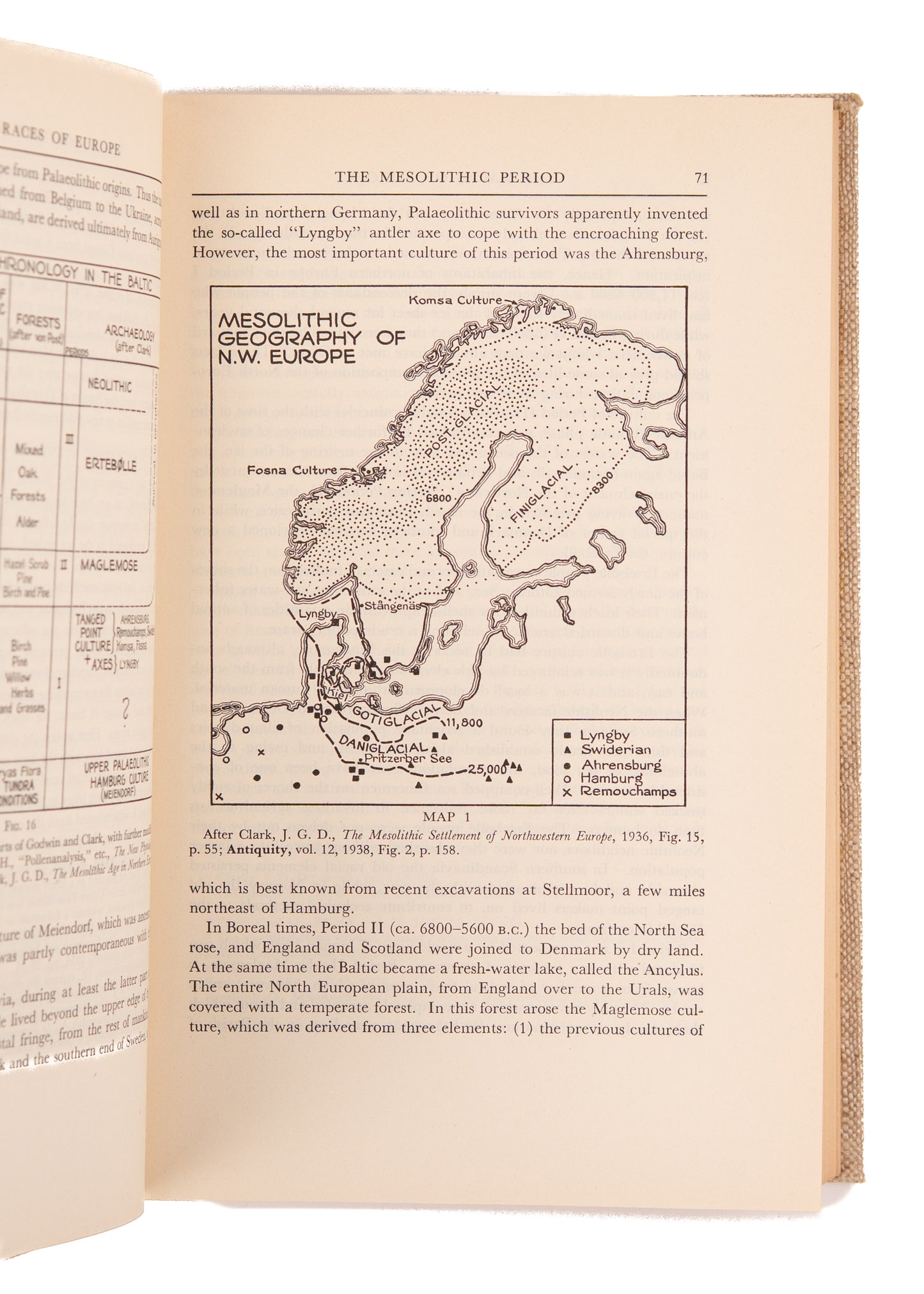1939 EUGENICS & SEGREGATION. Seminal First Edition of Influential Segregationist Text - Used in Brown Vs. Board of Ed.