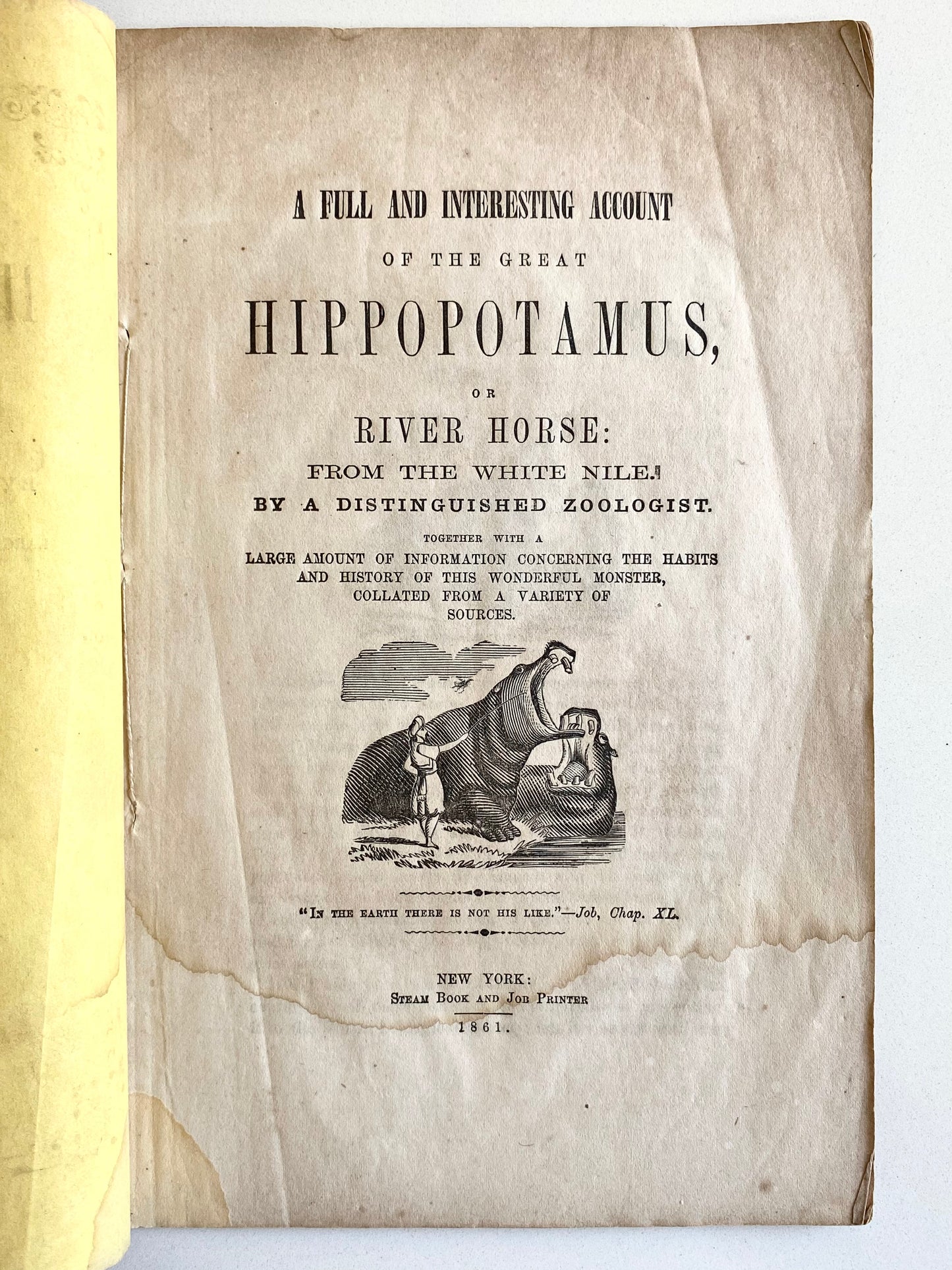 1863 HIPPOPOTAMUS. The Wonderful Monster - The River Horse of the White Nile. Rare!