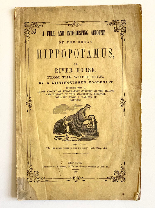 1863 HIPPOPOTAMUS. The Wonderful Monster - The River Horse of the White Nile. Rare!