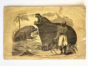 1863 HIPPOPOTAMUS. The Wonderful Monster - The River Horse of the White Nile. Rare!