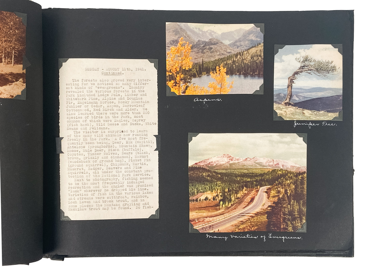 1941 COLORADO - YELLOWSTONE - TETON. 100+ Photographs and Pieces of Western Americana.