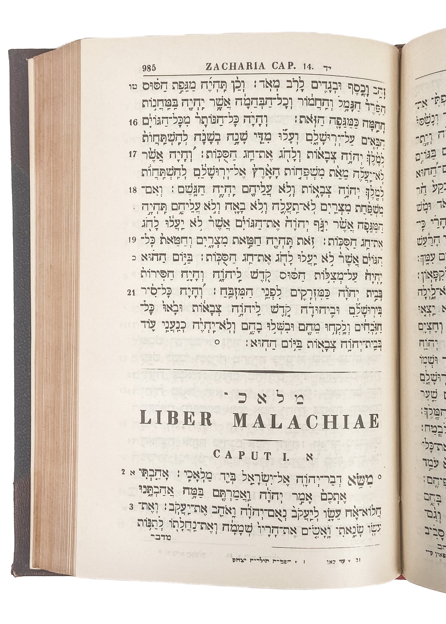 1904 HEBREW BIBLE. In Fine Binding and Owned by Michigan Representative.