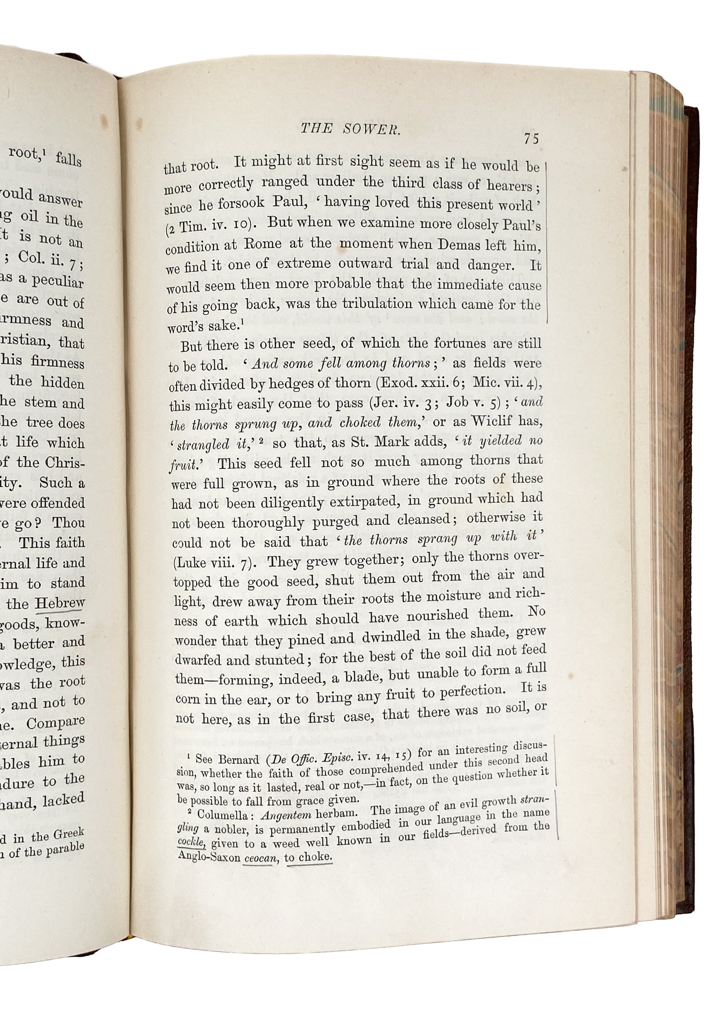 1852 HARRIET BEECHER STOWE. Uncle Tom's Cabin. First Continental Edition + True First Edition.