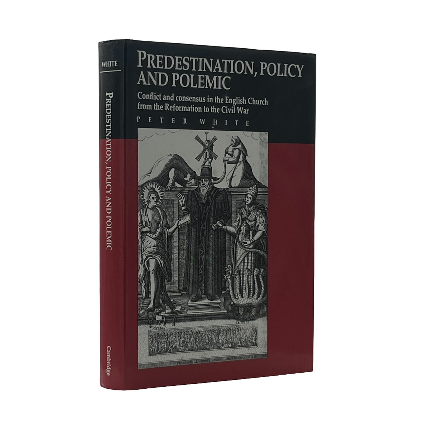1992 PETER WHITE. Predestination, Policy, and Polemic