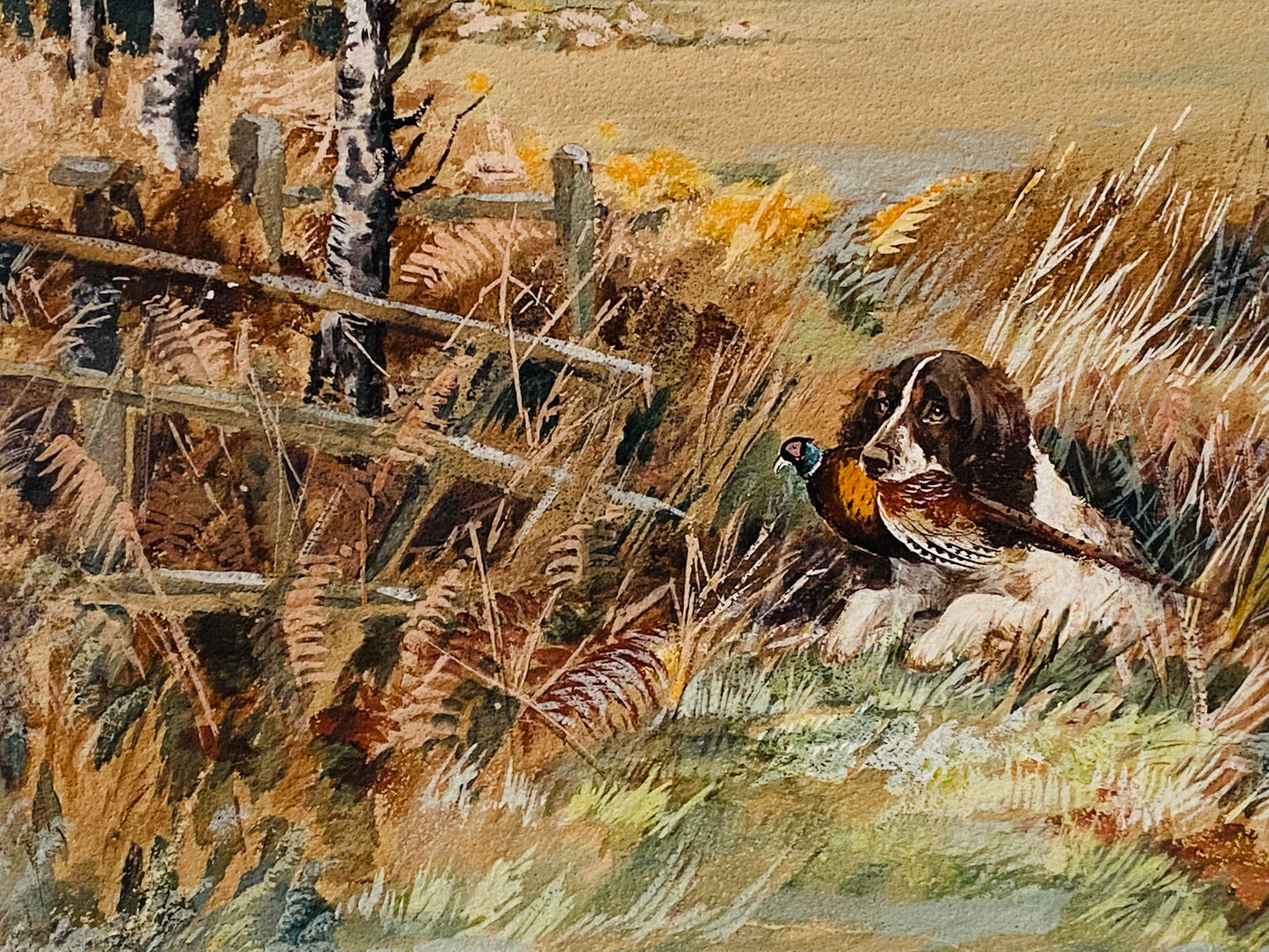 1920 REUBEN WARD BINKS. Superb Springer Spaniel Hunting Pheasant Original Painting.